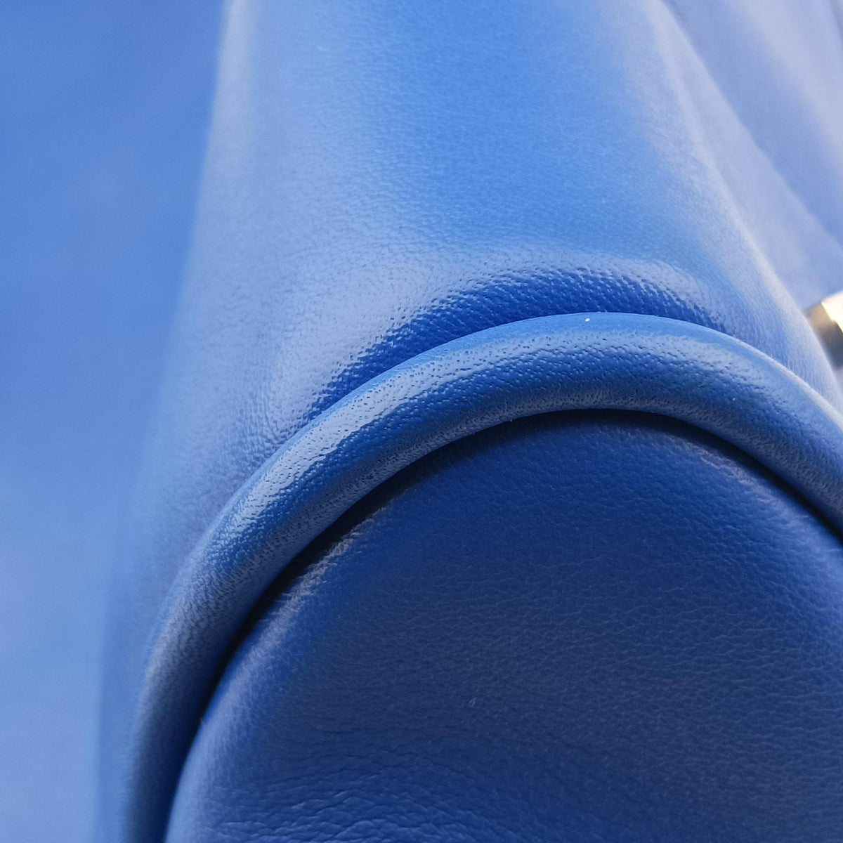 Amazona Blue Leather 011503アマソナ ブルー レザー 011503