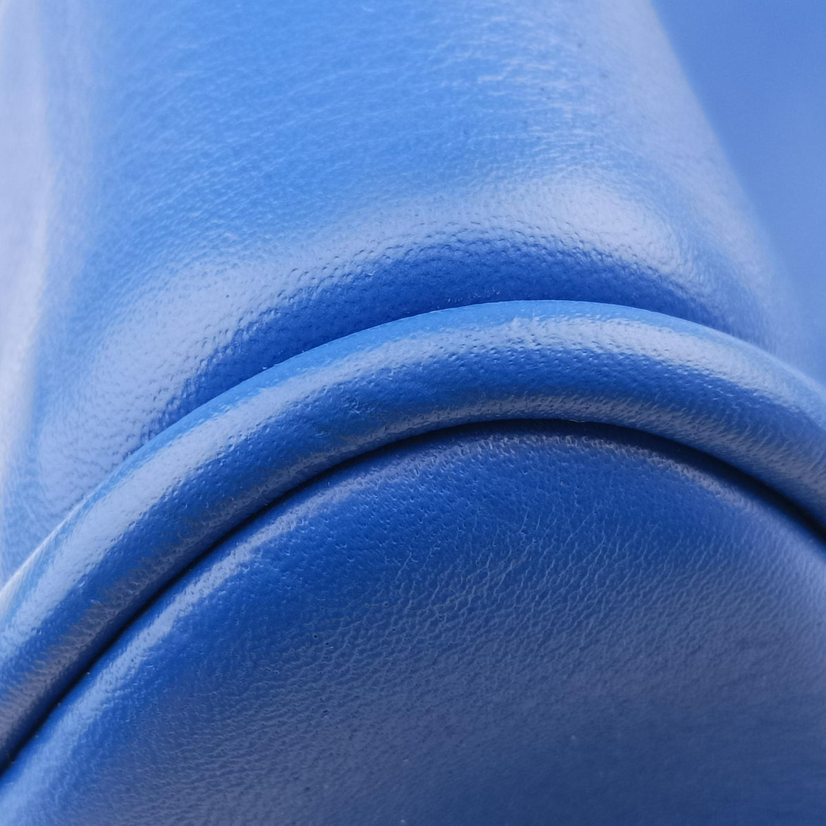 Amazona Blue Leather 011503アマソナ ブルー レザー 011503