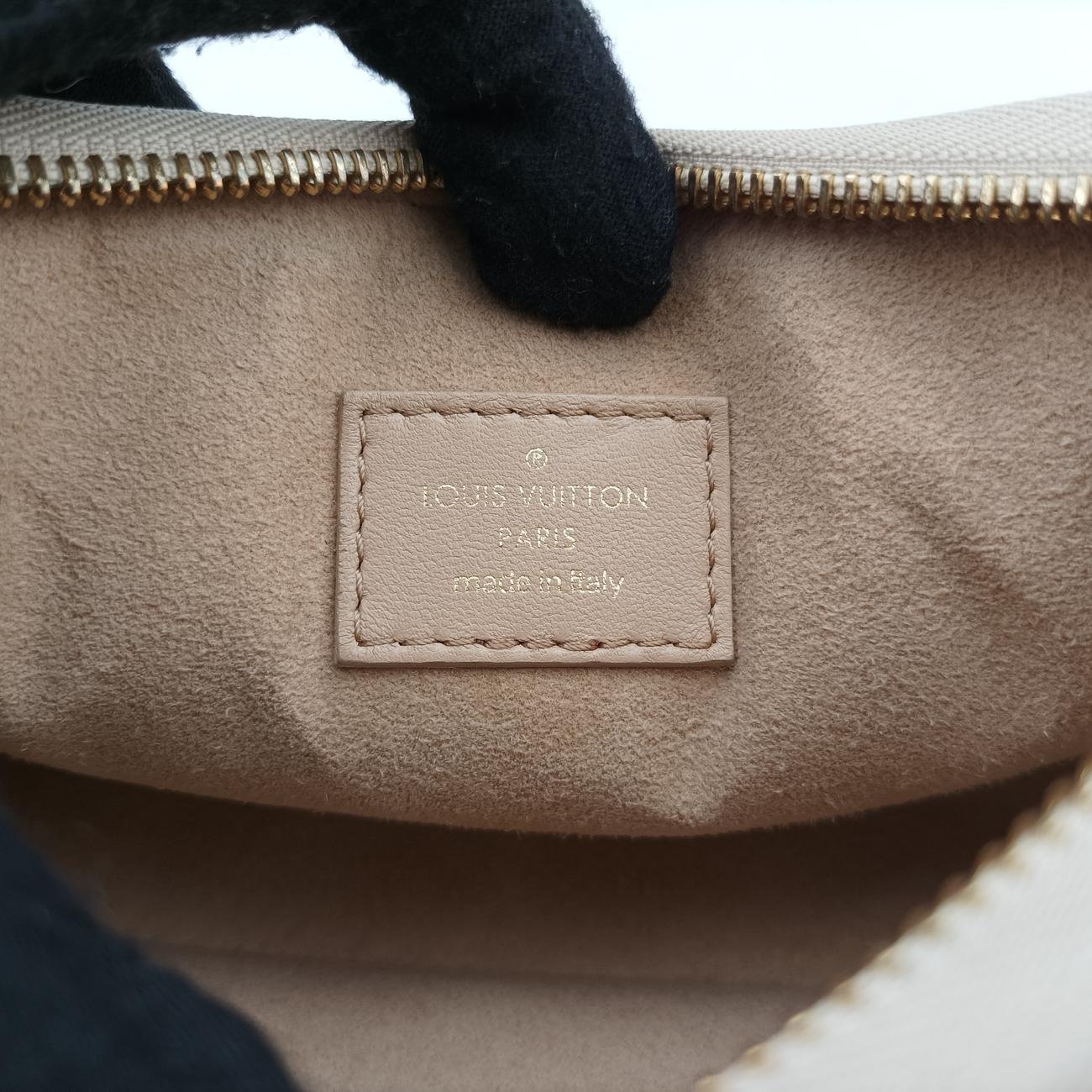 Pochette Troca Beige Damier Giant M59048 IC chipポシェット トロカ ベージュ ダミエ ジャイアント M59048 ICチップ