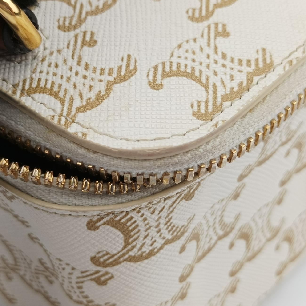 TRIOMPHE mini vanity case White PVC coated canvas  U-DS-0243トリオンフ ミニ バニティーケース ホワイト PVCコーティングキャンバス  U-DS-0243