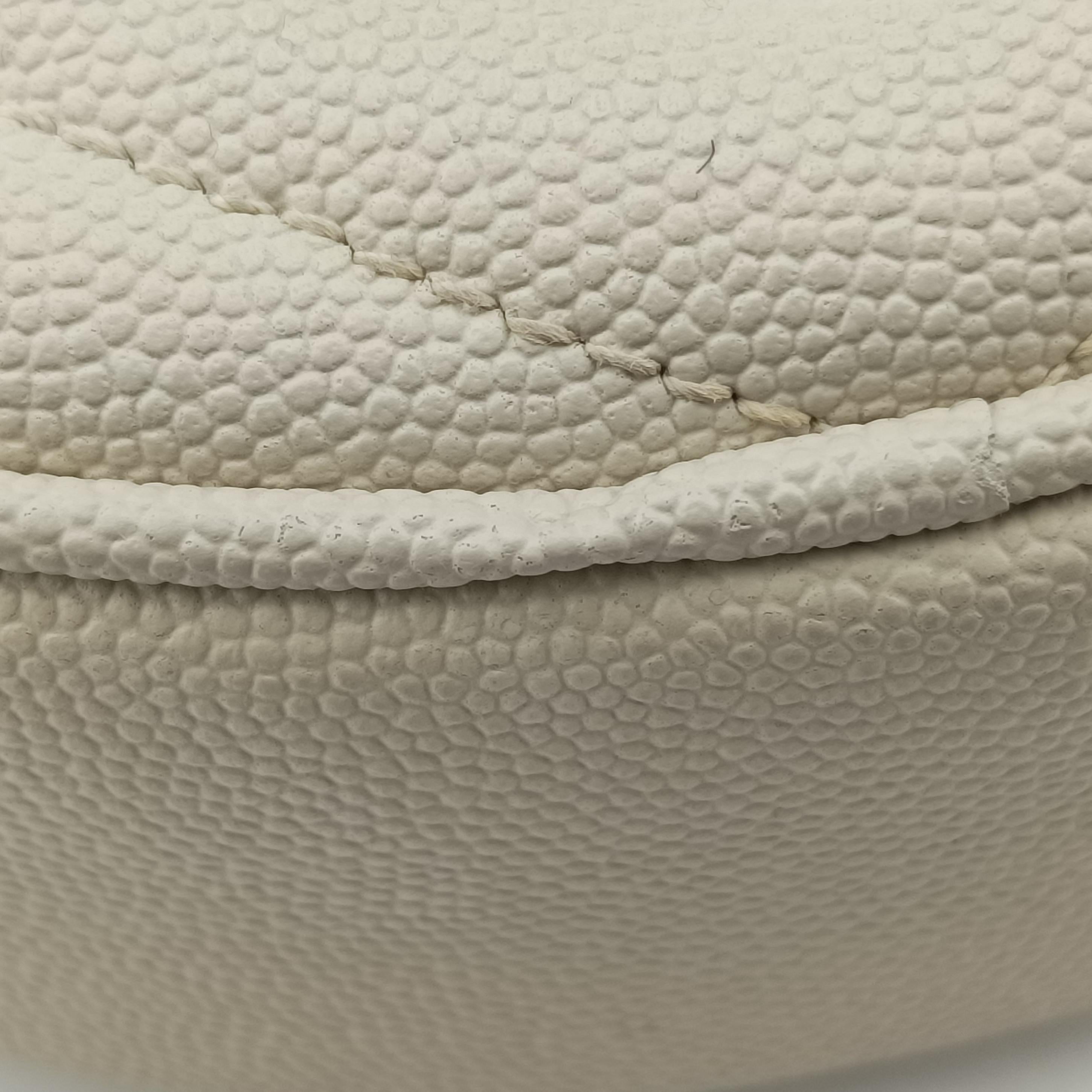 VINYLE White Caviar Skin 610436 PTR610436.0521ヴィニル ホワイト キャビアスキン 610436 PTR610436.0521