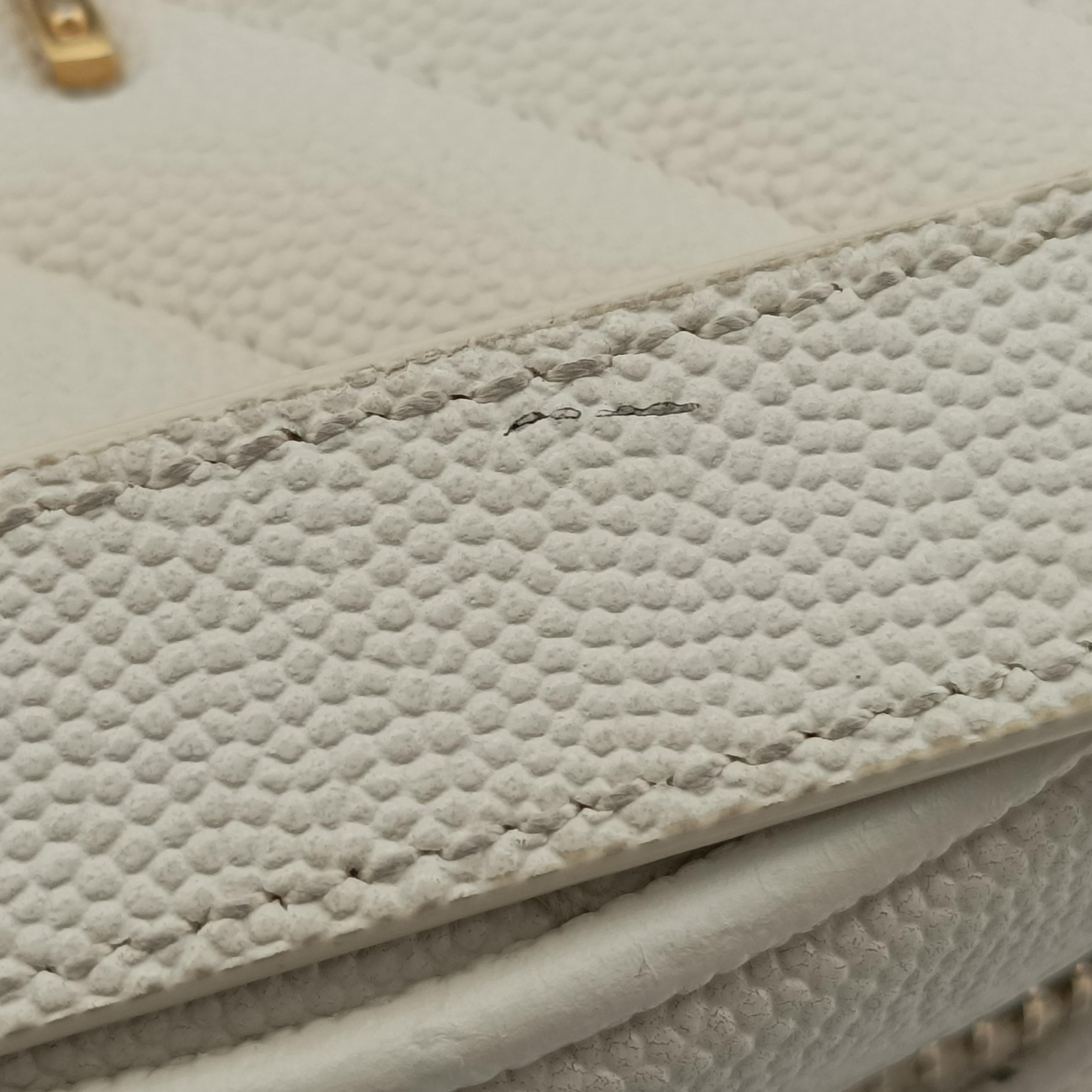 VINYLE White Caviar Skin 610436 PTR610436.0521ヴィニル ホワイト キャビアスキン 610436 PTR610436.0521