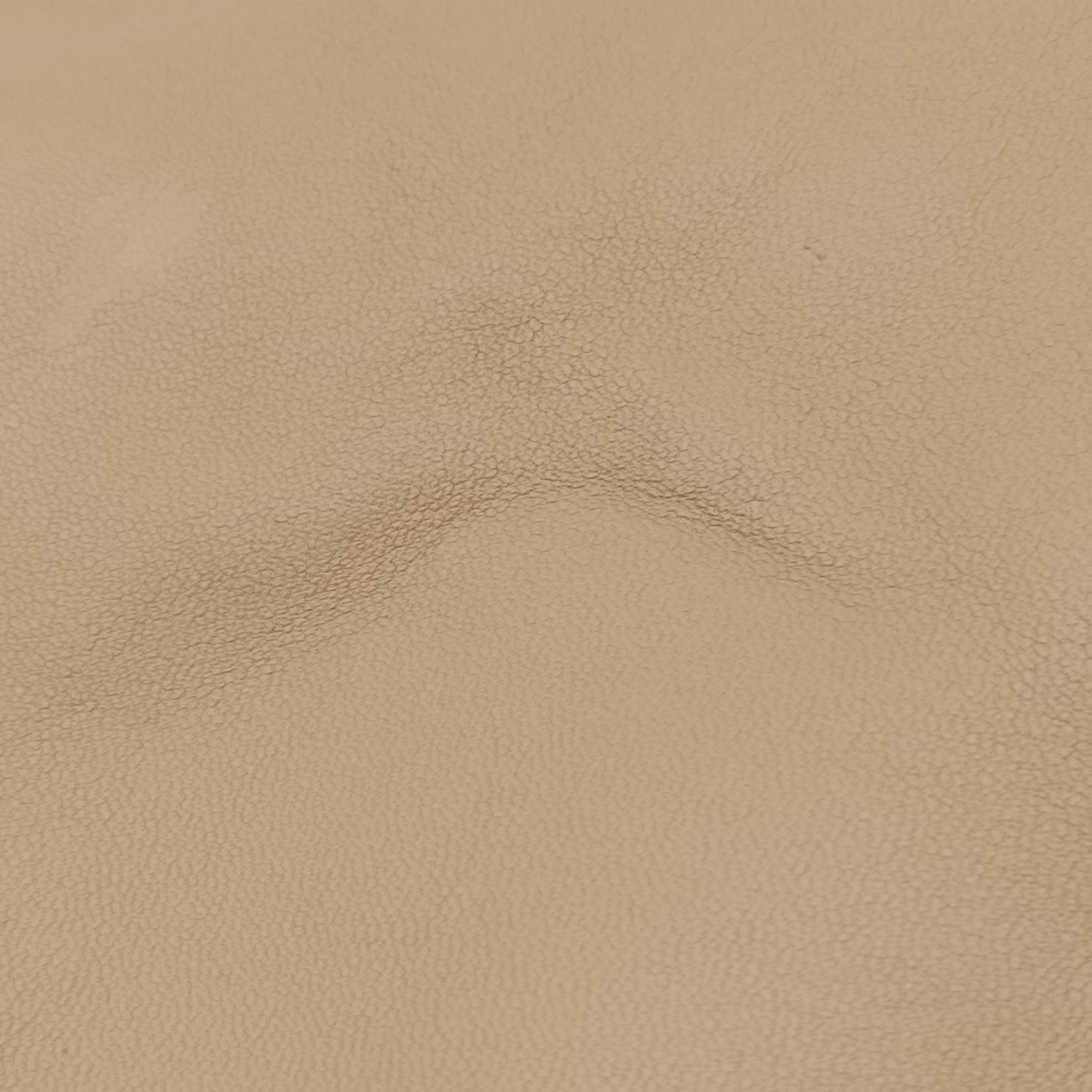 Large 1970 beige Leather 290681 C0002420ラージ 1970 ベージュ レザー 290681 C0002420