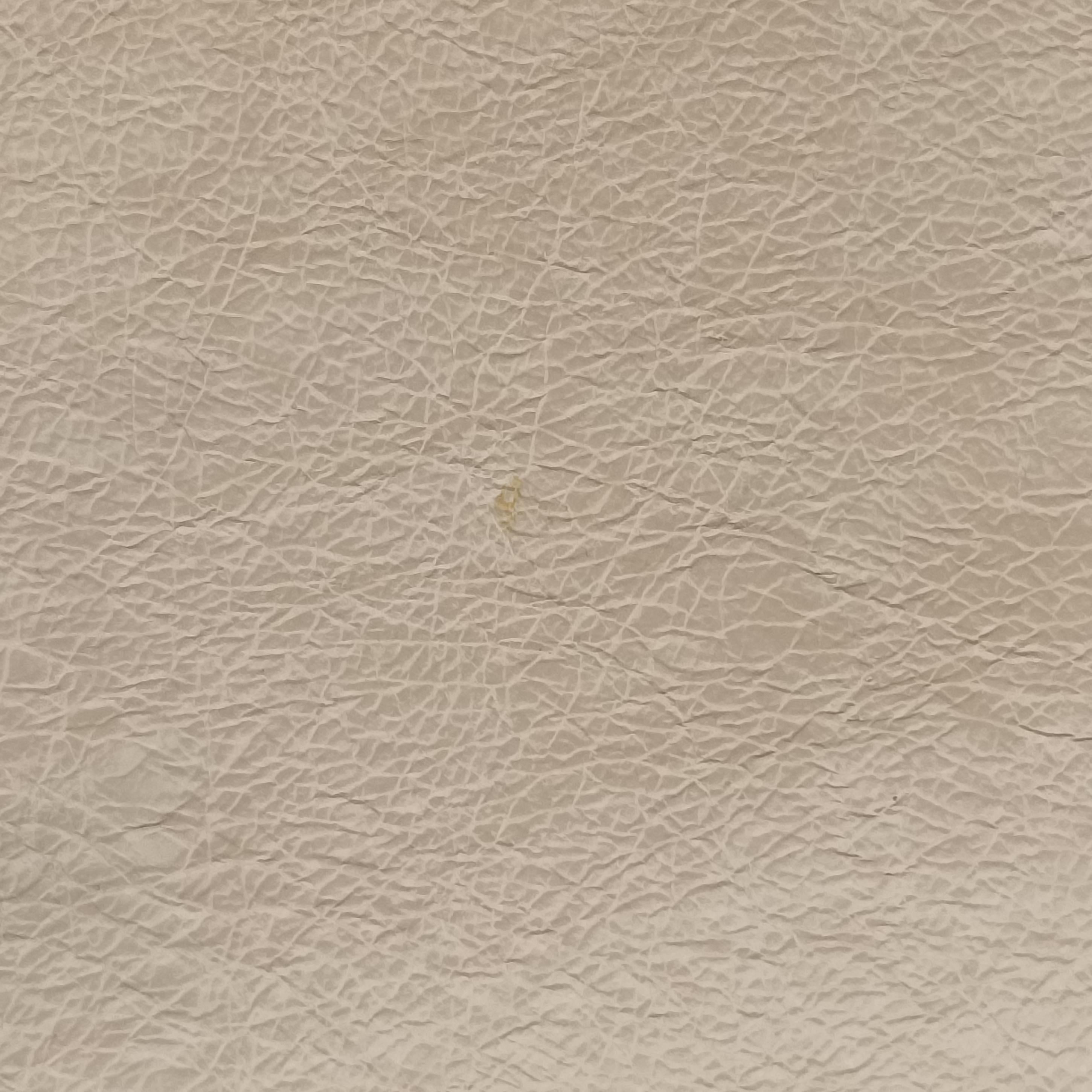 flap Beige Leather 8BH364 8BH364-A86T-199-12085フラップ ベージュ レザー 8BH364 8BH364-A86T-199-12085