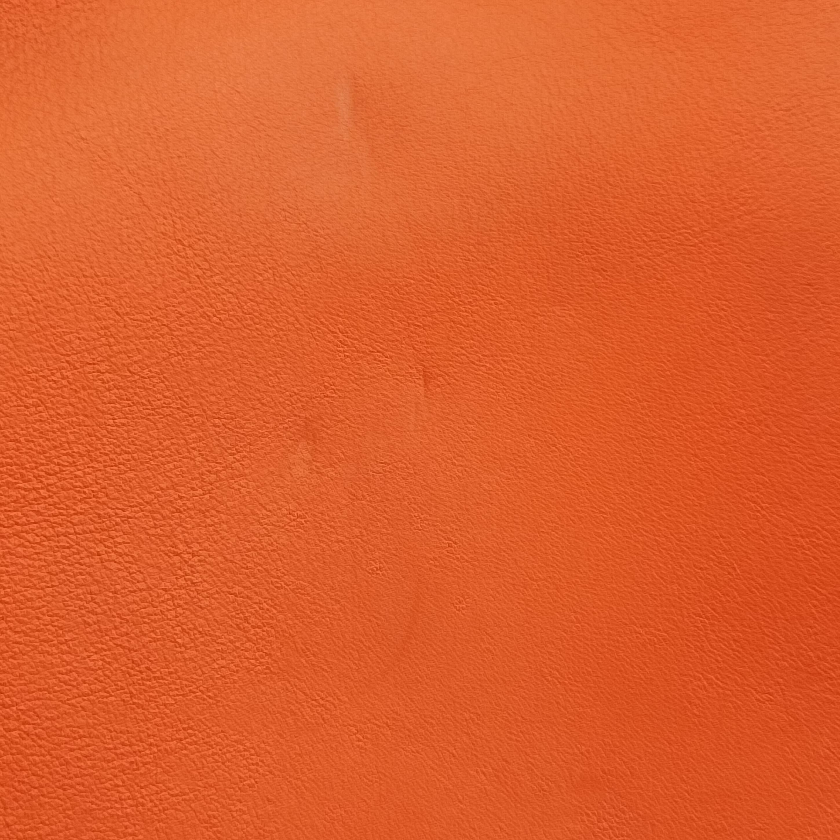 Diorissimo Orange Leather 19-MA-0172ディオリッシモ オレンジ レザー 19-MA-0172