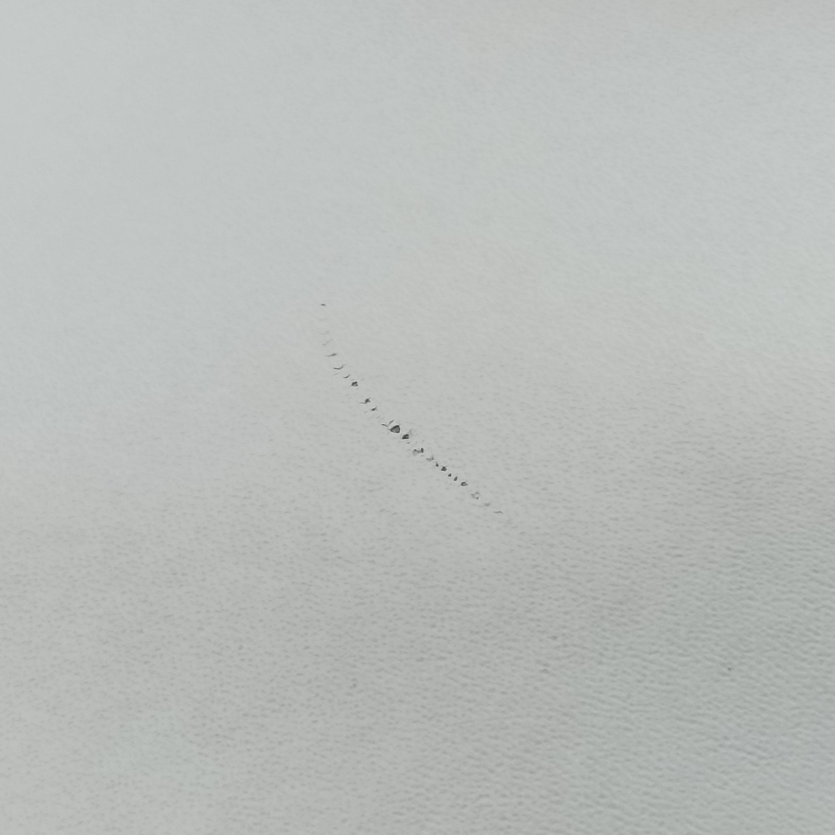 Kan I Multicolour Leather 8BT283 8BT283-A06Z 179-0501キャナイ マルチカラー レザー 8BT283 8BT283-A06Z 179-0501