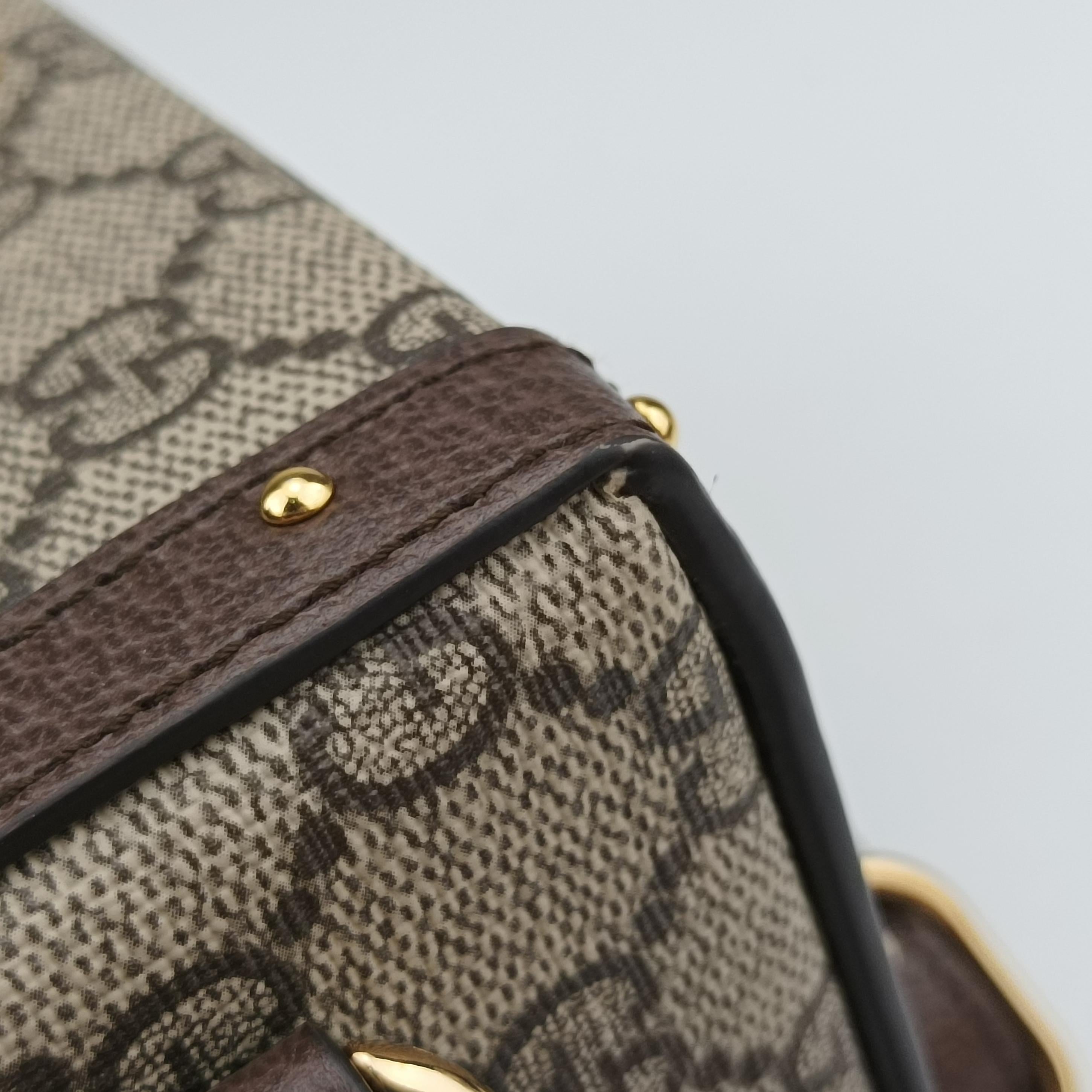 GG Supreme Mini Brown PVC coated canvas 678460 678460.496334GGスプリームミニ ブラウン PVCコーティングキャンバス 678460 678460.496334