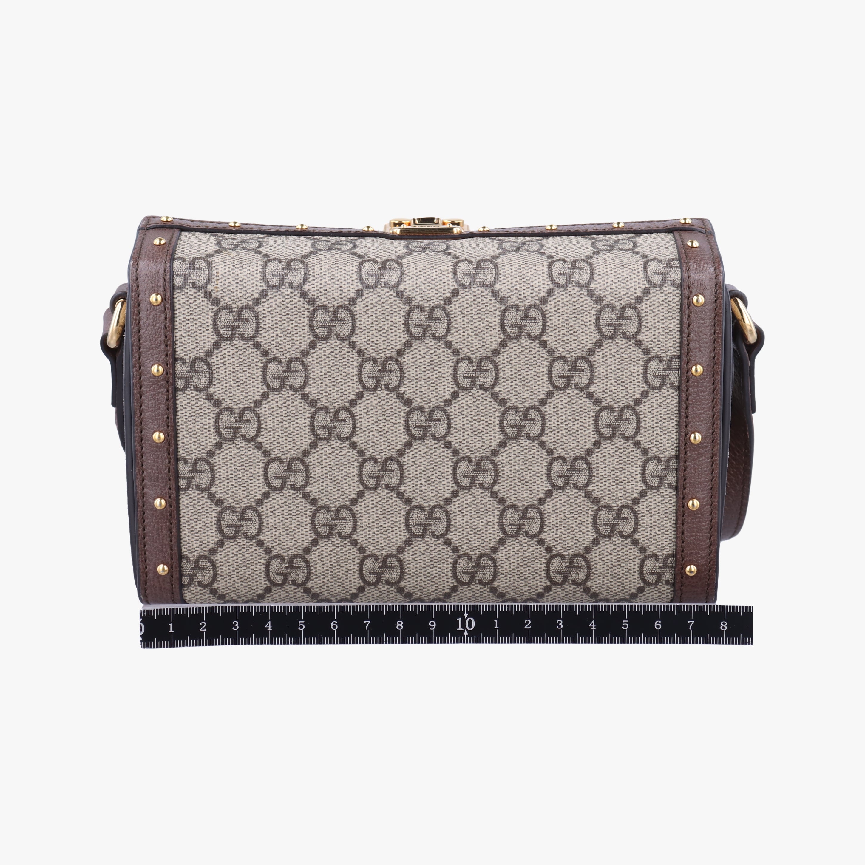 GG Supreme Mini Brown PVC coated canvas 678460 678460.496334GGスプリームミニ ブラウン PVCコーティングキャンバス 678460 678460.496334