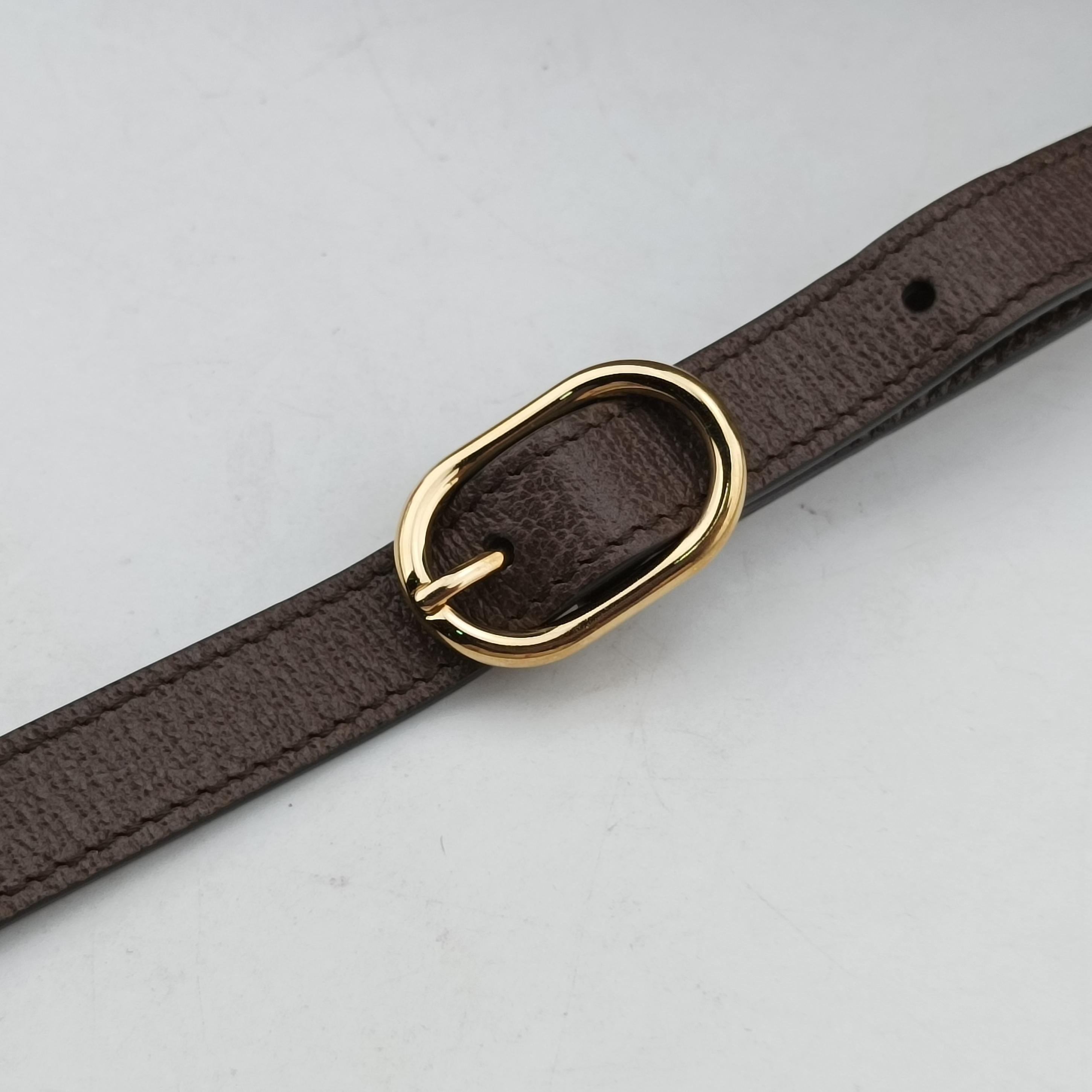 GG Supreme Mini Brown PVC coated canvas 678460 678460.496334GGスプリームミニ ブラウン PVCコーティングキャンバス 678460 678460.496334