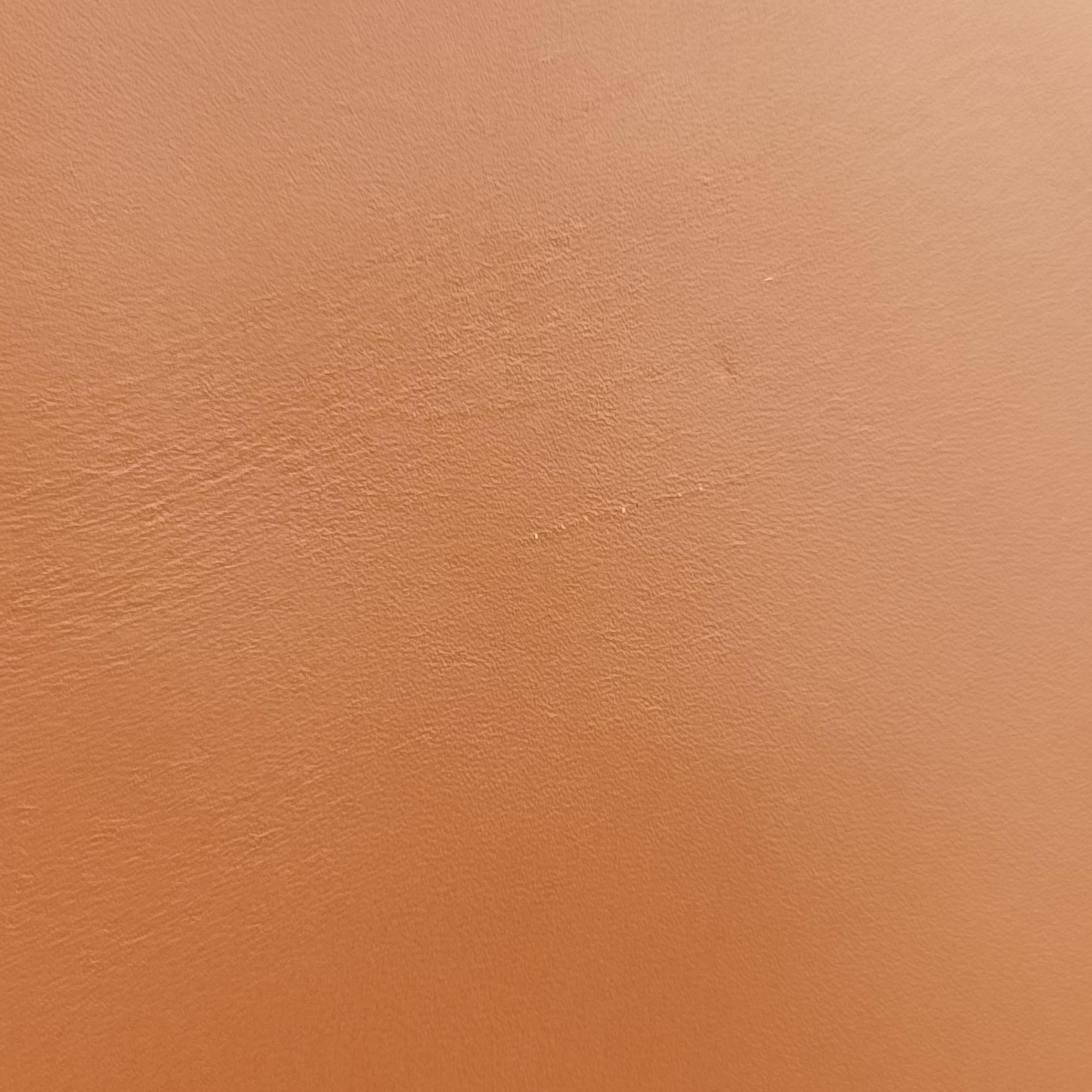 Sunshine Brown Leather 8BH372 8BH372-ABVL-218-8241サンシャイン ブラウン レザー 8BH372 8BH372-ABVL-218-8241