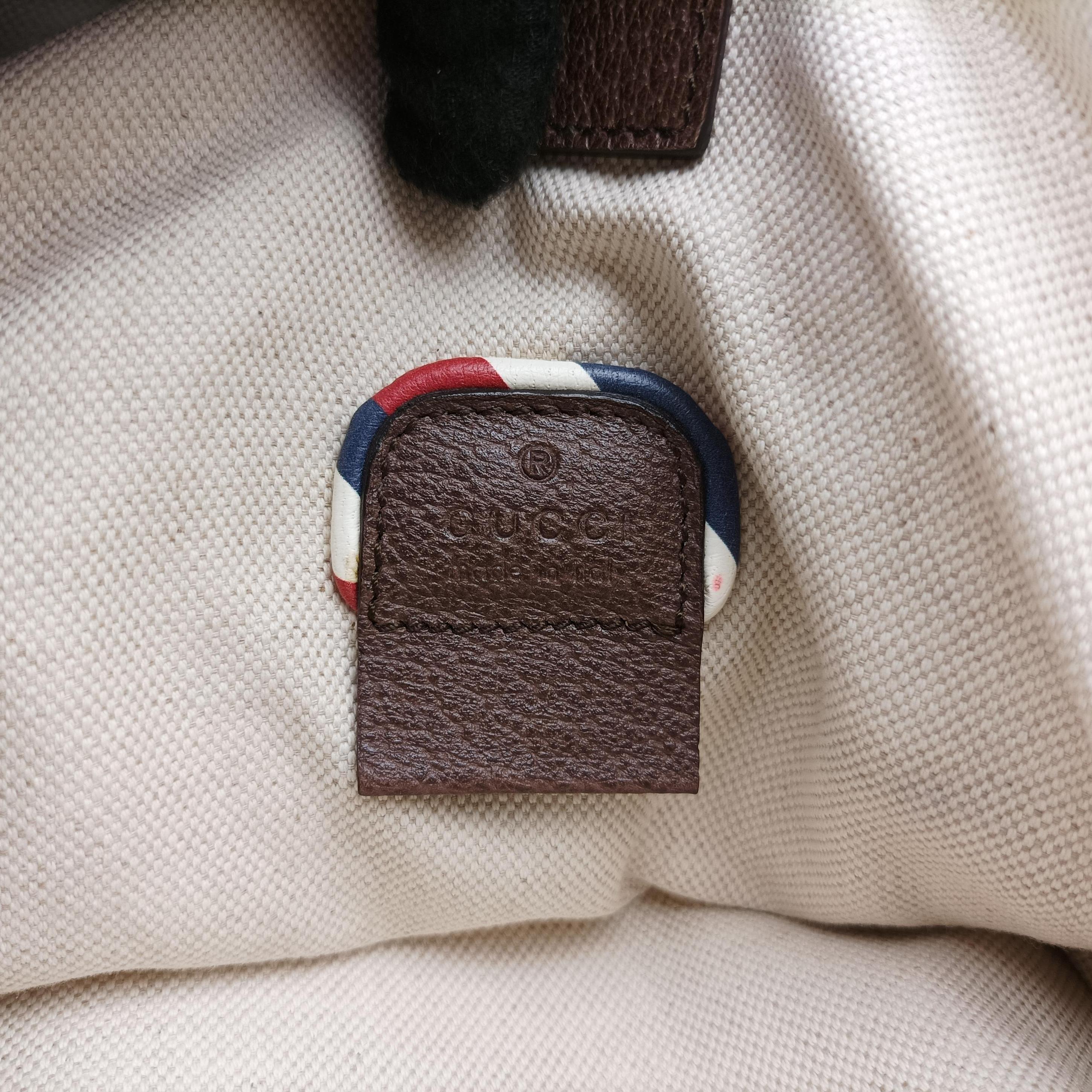 Soft GG Supreme Brown×multicolor PVC coated canvas 473869 C023929655ソフトGGスプリューム ブラウン×マルチカラー PVCコーティングキャンバス 473869 C023929655