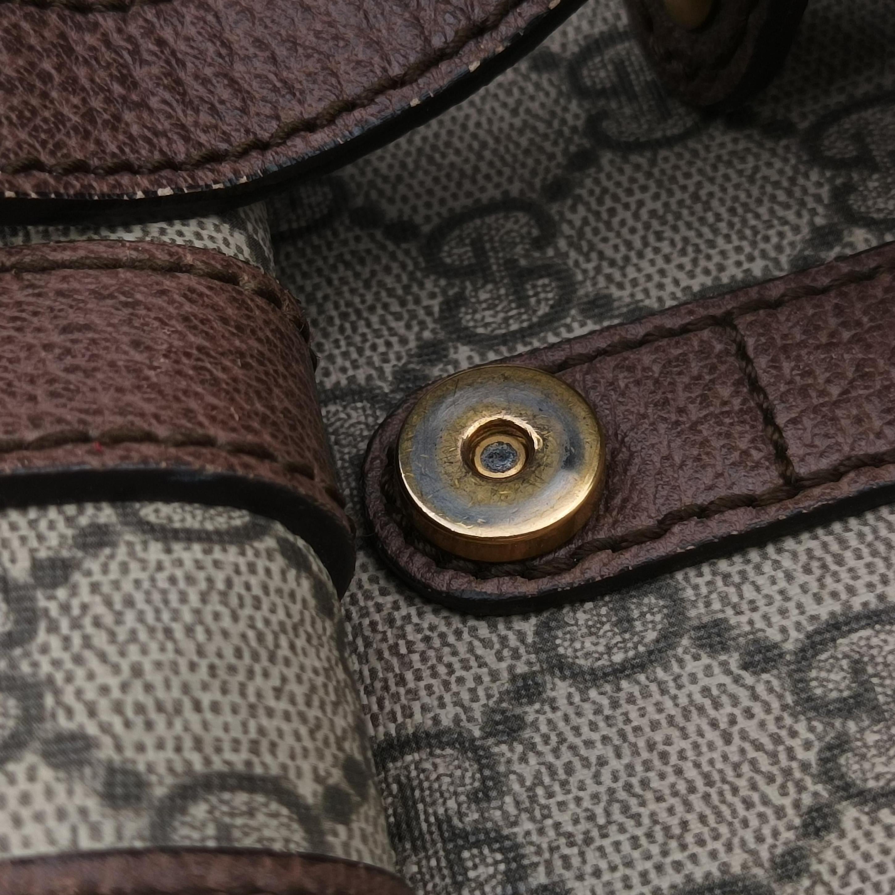 Soft GG Supreme Brown×multicolor PVC coated canvas 473869 C023929655ソフトGGスプリューム ブラウン×マルチカラー PVCコーティングキャンバス 473869 C023929655