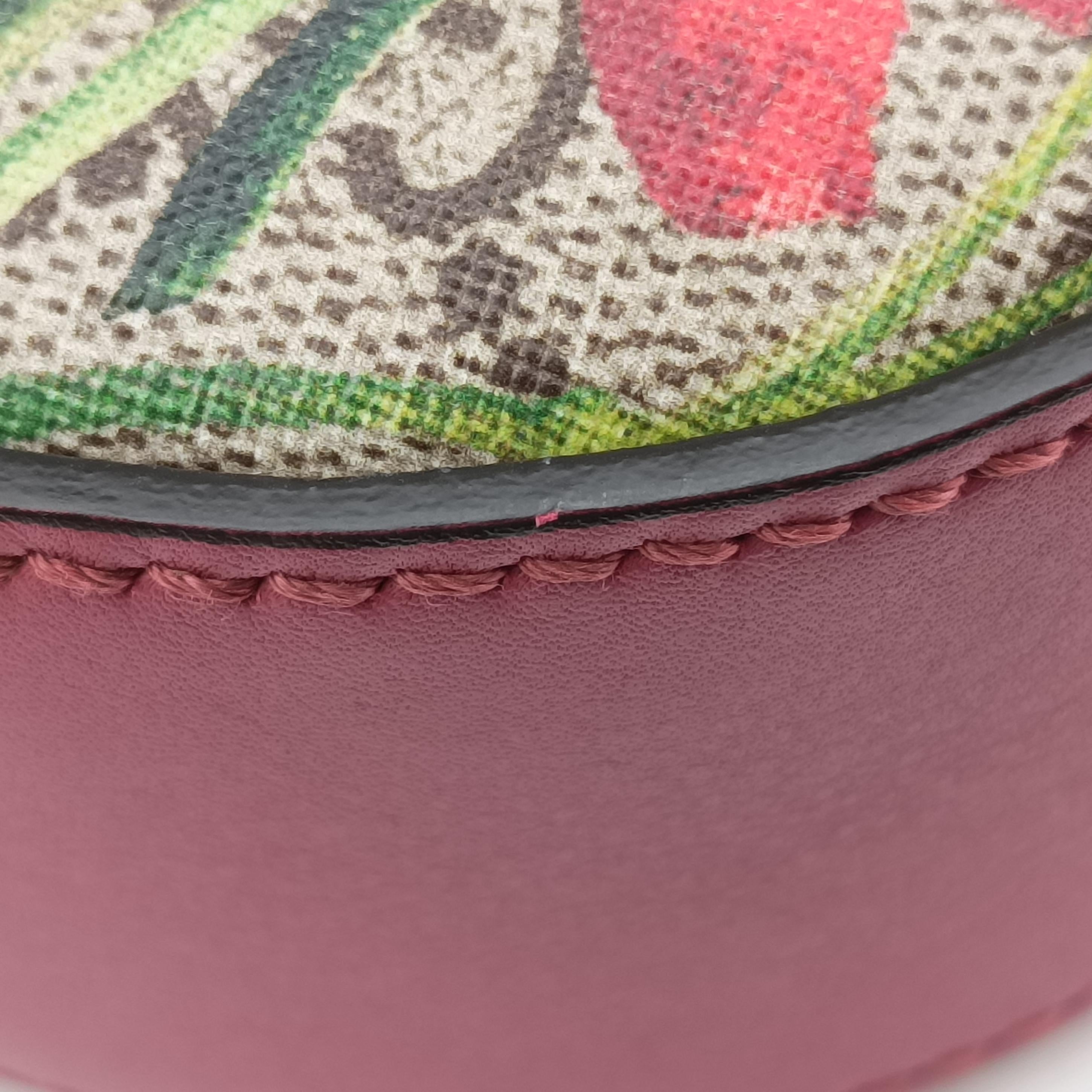 GG Supreme Blooms beige×Multicolour PVC coated canvas 409535 D019068844GGスプリーム ベージュ×マルチカラー PVCコーティングキャンバス 409535 D019068844