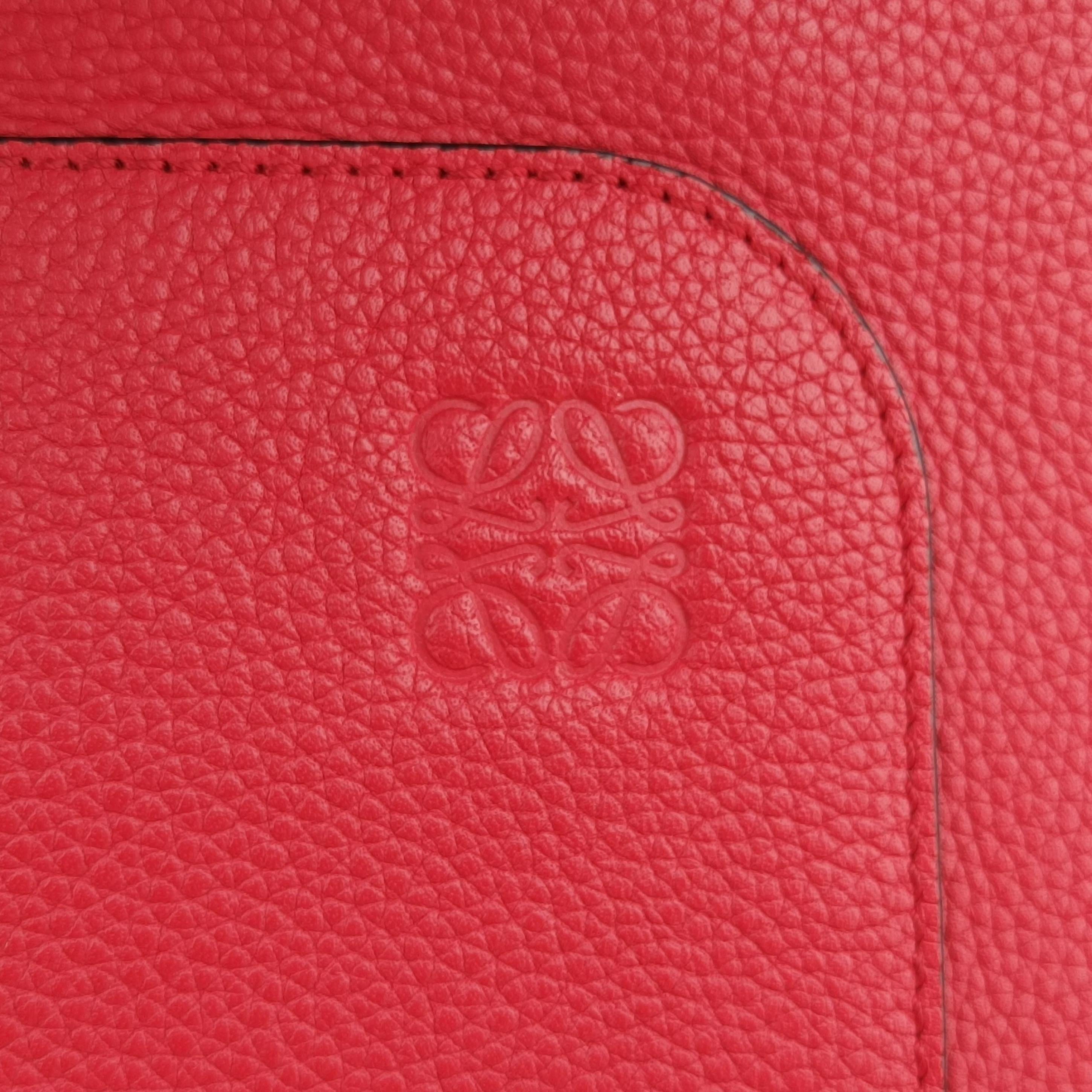 Goya Small Red Leather 061822ゴヤ スモール レッド レザー 061822