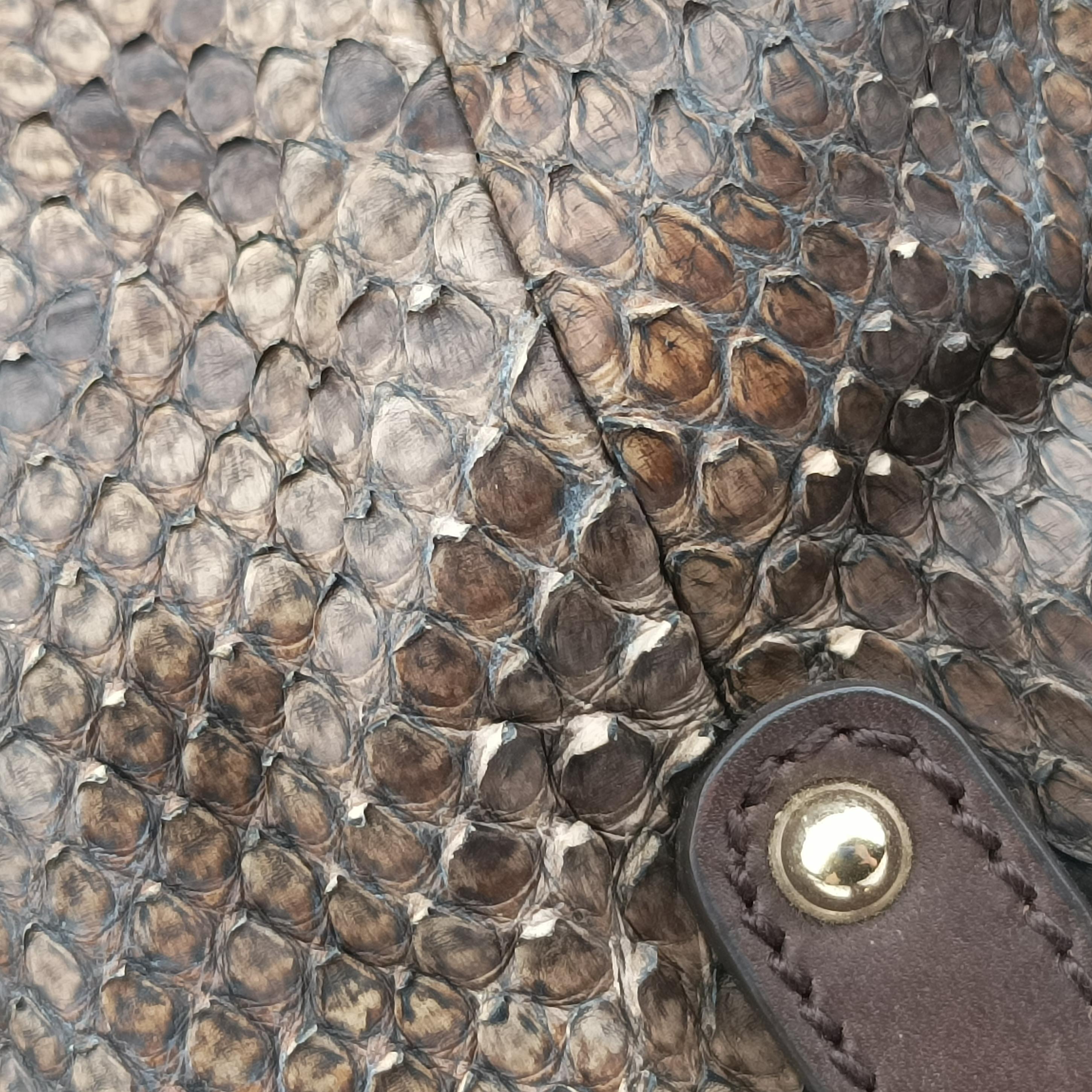 GG Craft Brown snakeskin 247207 E7037130GGクラフト ブラウン ヘビ革 247207 E7037130