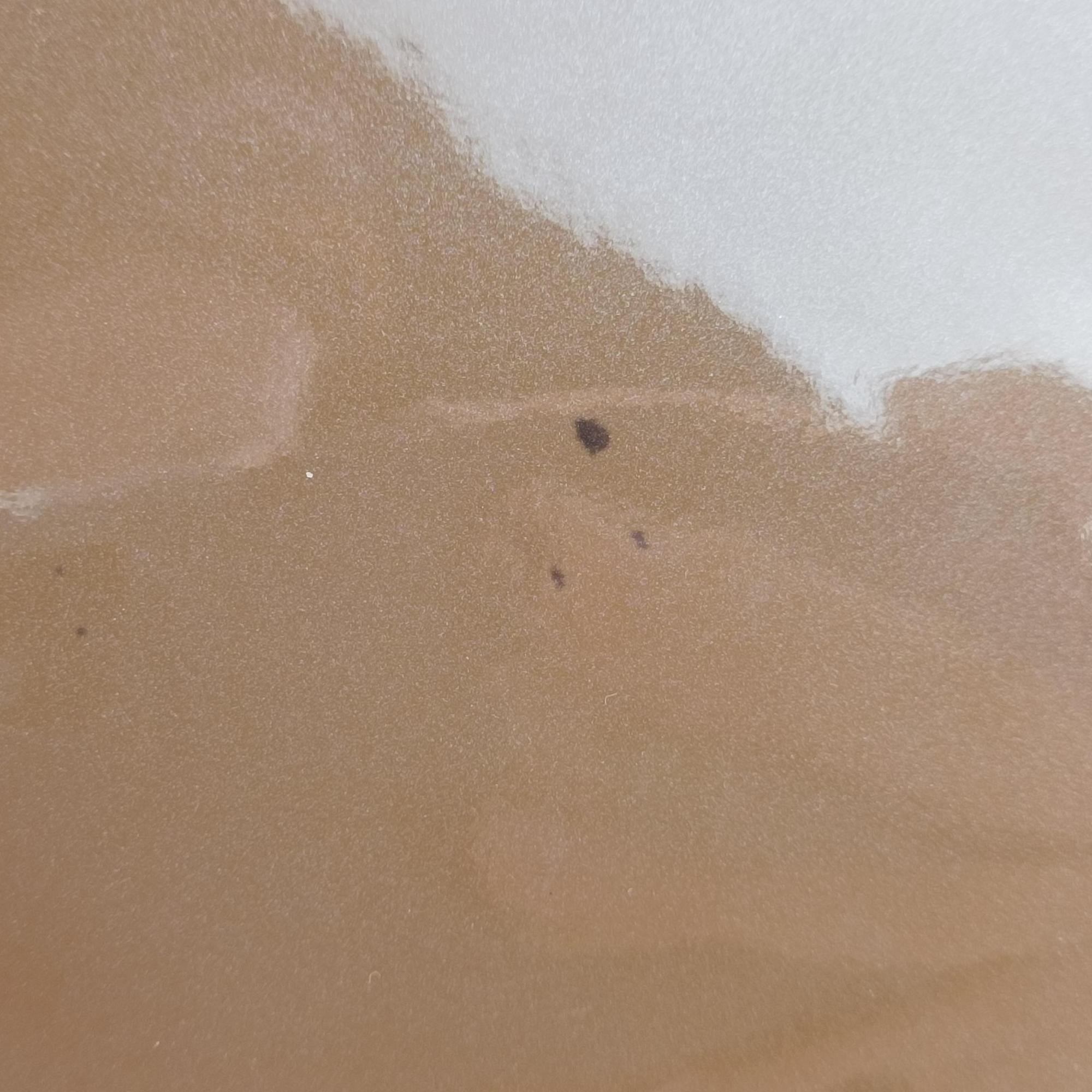 Miroir Venice Brown Monogram Canvas×Vernis M54390 PL0188 IC Chipミラーヴェネツィア ブラウン モノグラムキャンバス×ヴェルニ M54390 PL0188 ICチップ