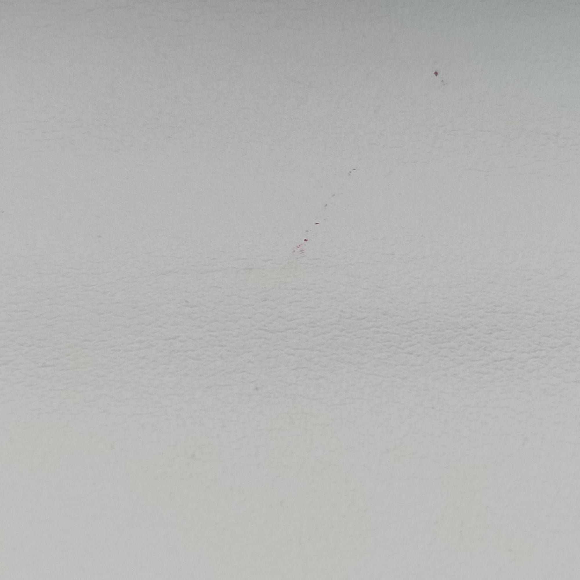 pionniere White leather 1BD039 25ピオニエール ホワイト レザー 1BD039 25
