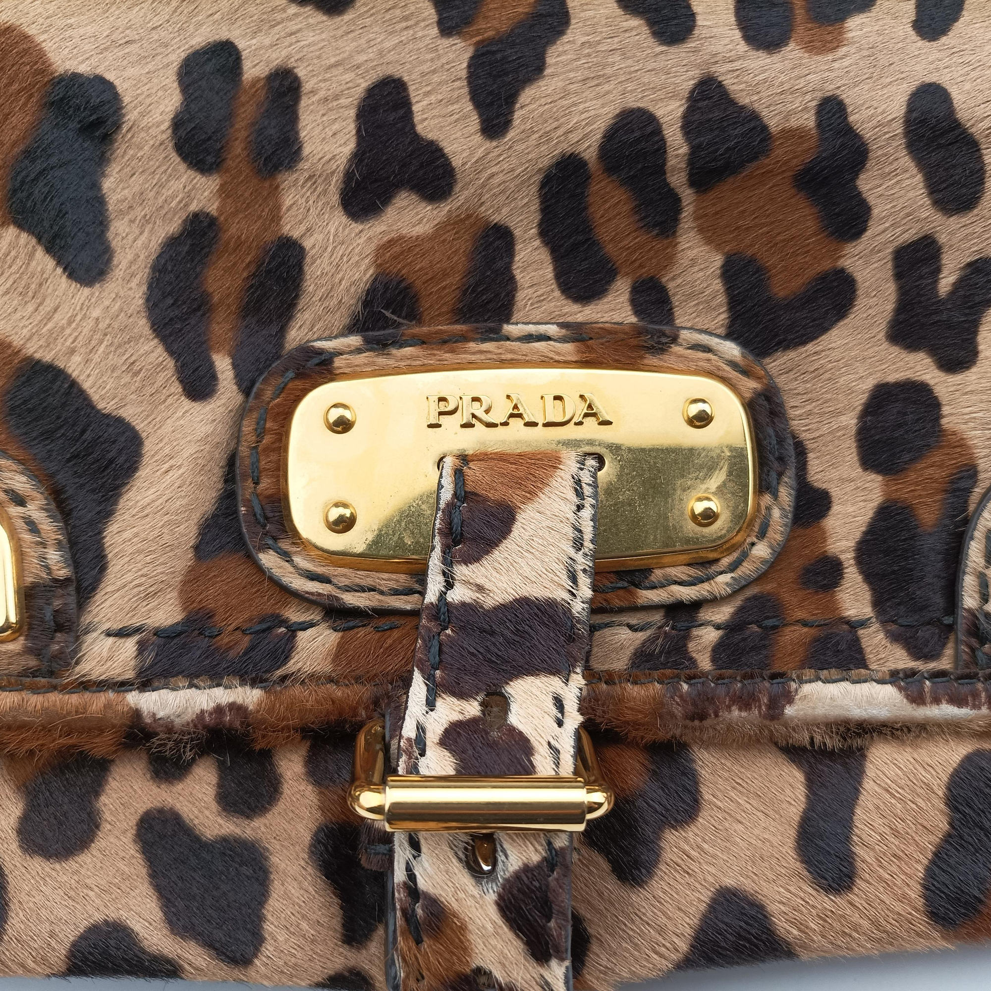Leopard Print Brown×Multicolour ponyhair 123レオパード プリント ブラウン×マルチカラー ハラコ 123