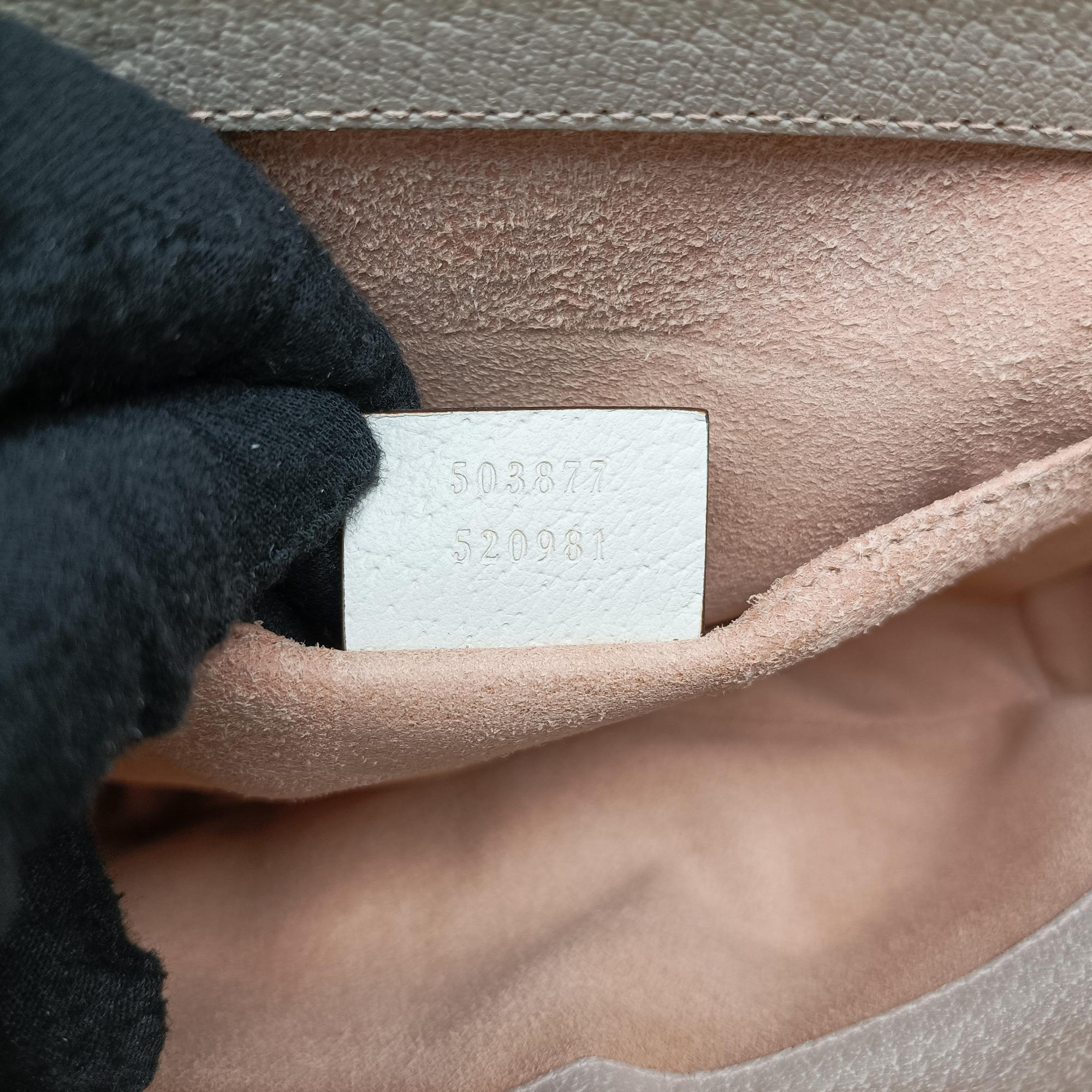 Ophidia White Leather 503877 E029520963オフィディア ホワイト レザー 503877 E029520963