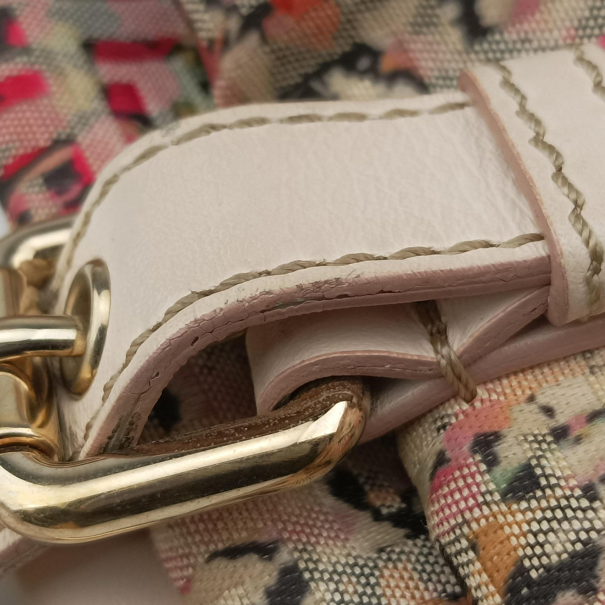 Zucchino pattern pink×Multicolour canvas 8BH215 8BH215-FCF 118-2550ズッキーノ柄 ピンク×マルチカラー キャンバス 8BH215 8BH215-FCF 118-2550