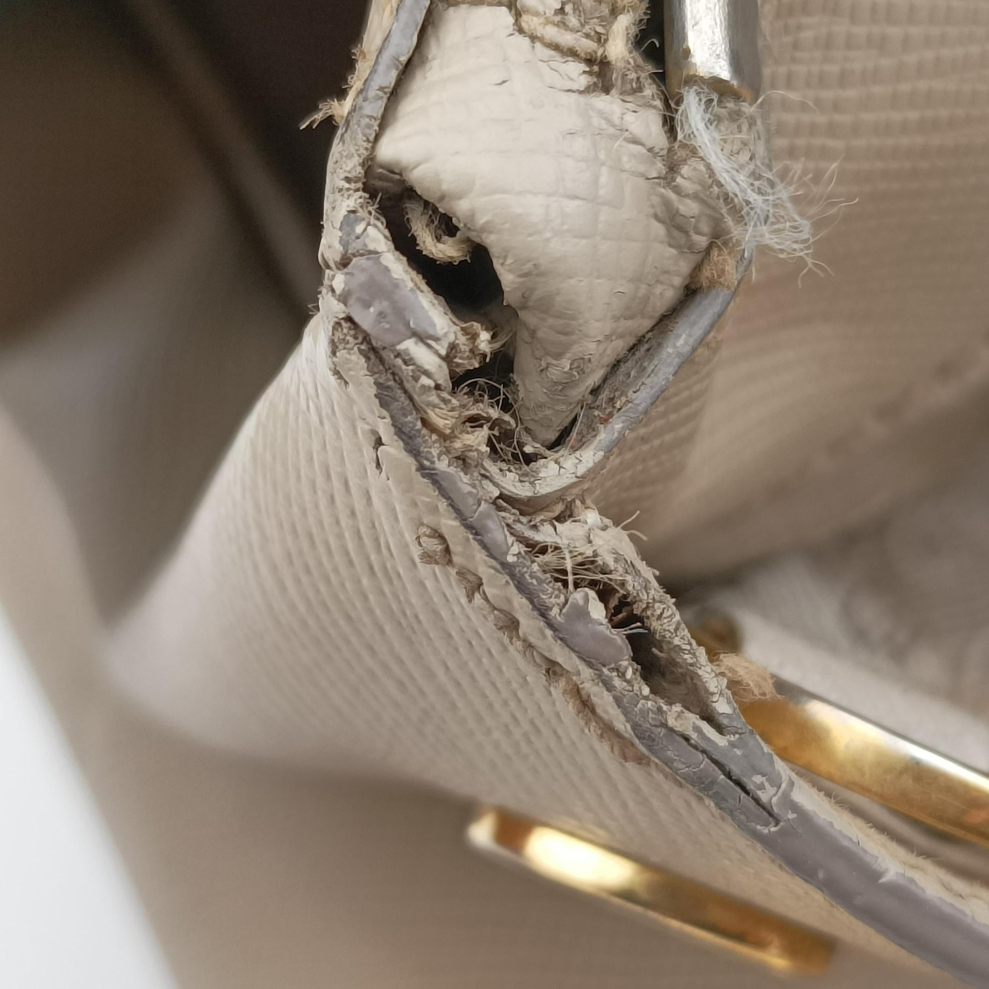 Galleria Beige SAFFIANO Leather BN2274 117ガレリア ベージュ サフィアーノレザー BN2274 117