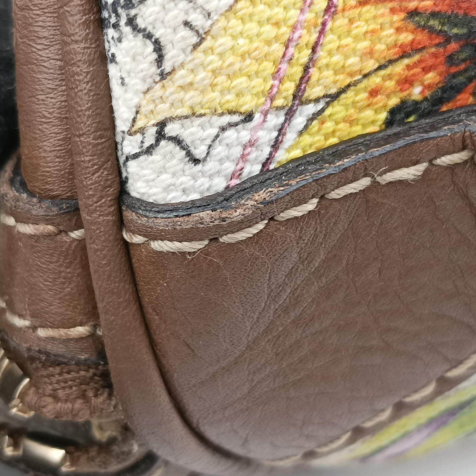 flora print Multicolour Leather×Canvas 247205 C013772909フローラプリント マルチカラー レザー×キャンバス 247205 C013772909