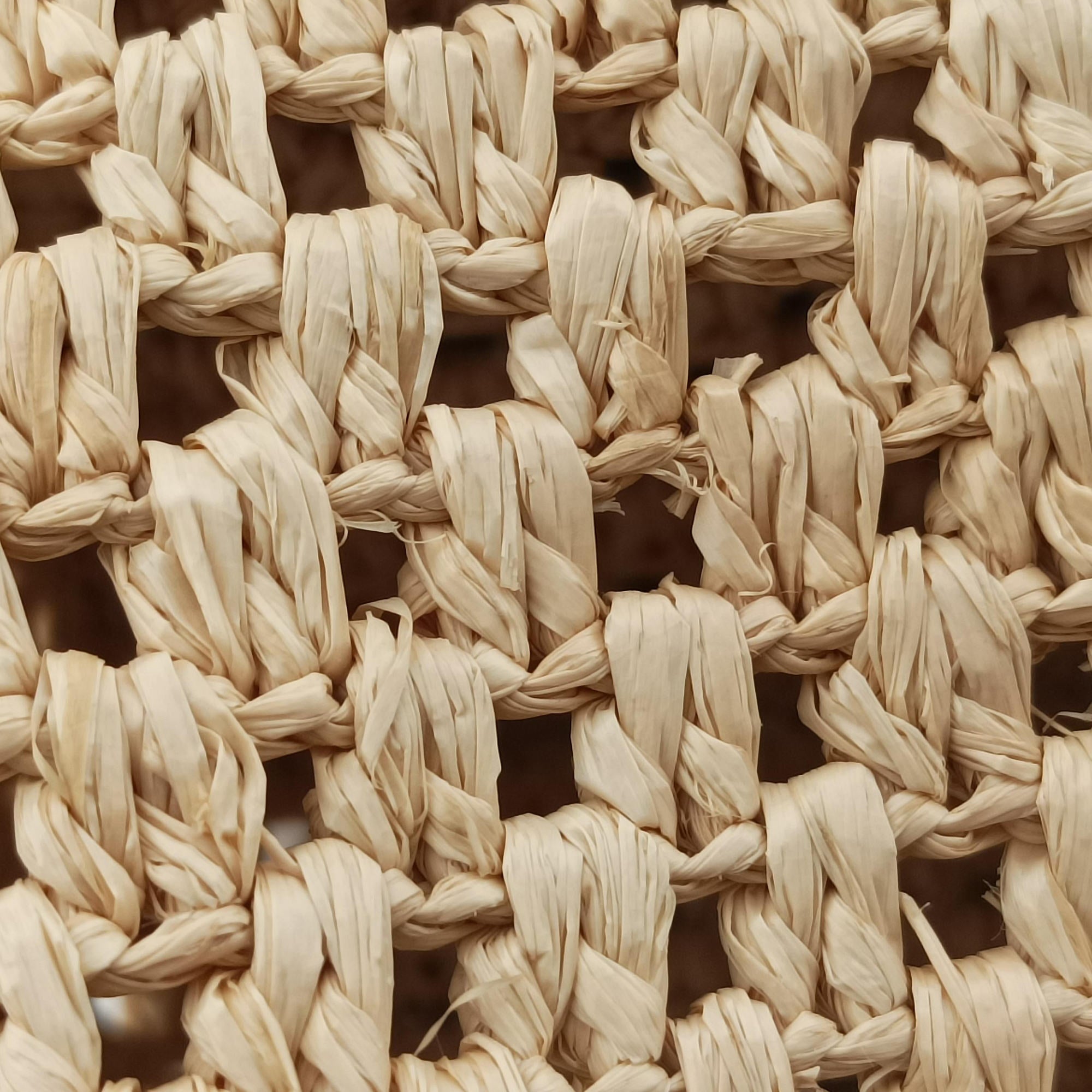 Noé Purse Beige x Brown natural raffia M83521 IC Chipノエ パース ベージュ×ブラウン ナチュラルラフィア M83521 ICチップ