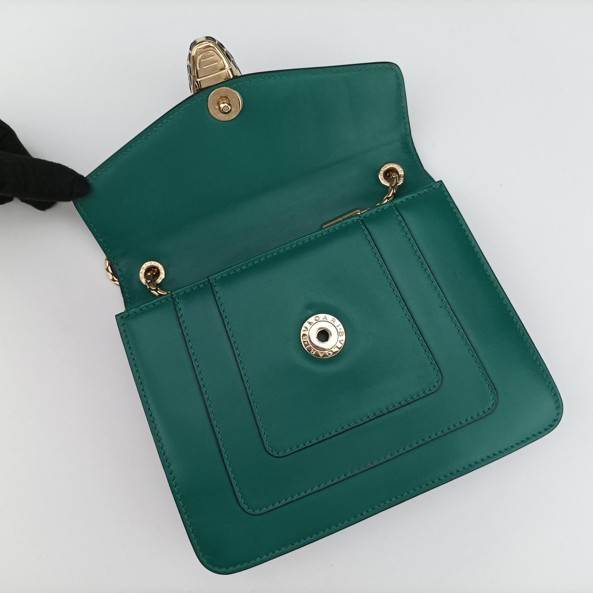 Serpenti Forever Green leather DG.A17.34560セルペンティ フォーエバー グリーン レザー DG.A17.34560