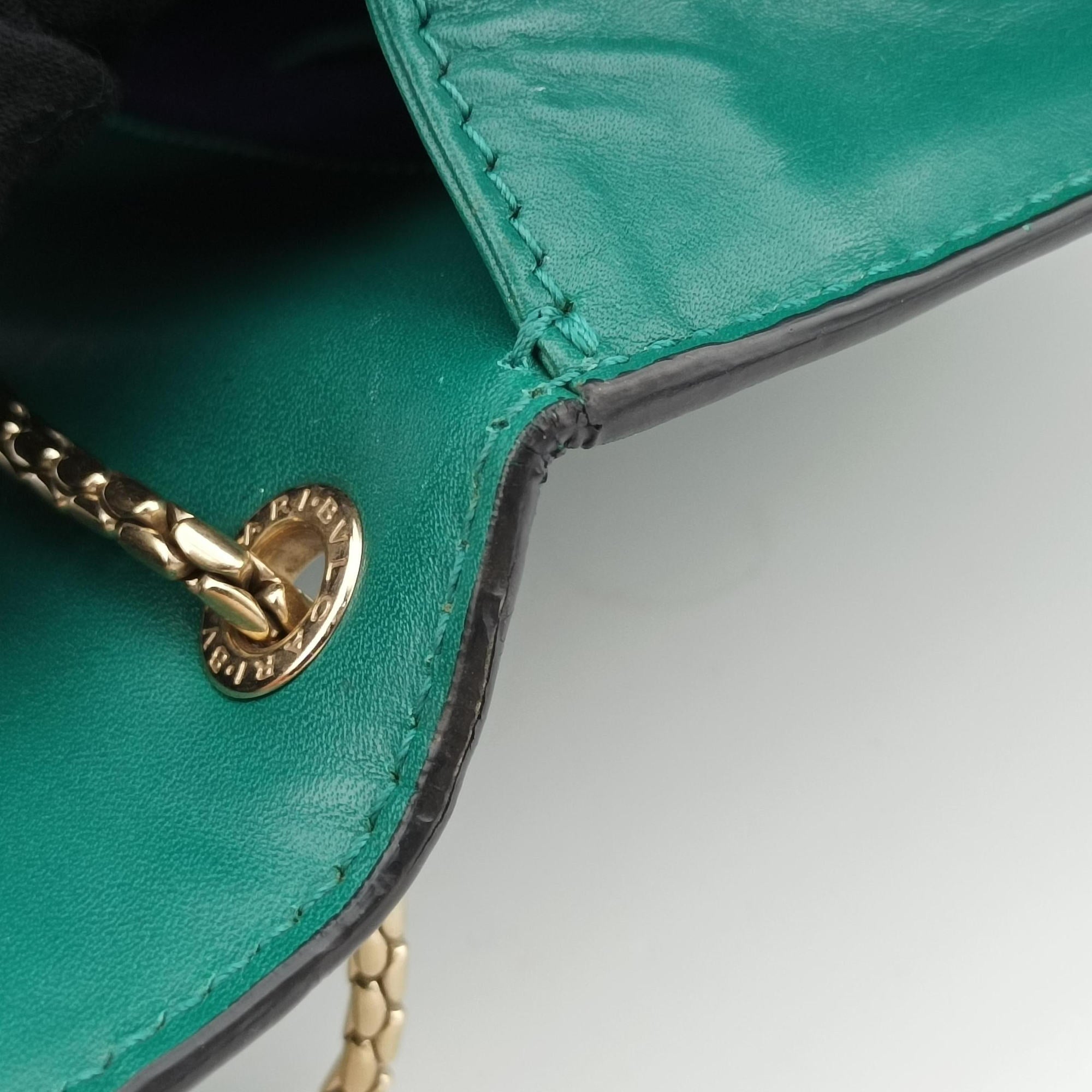 Serpenti Forever Green leather DG.A17.34560セルペンティ フォーエバー グリーン レザー DG.A17.34560