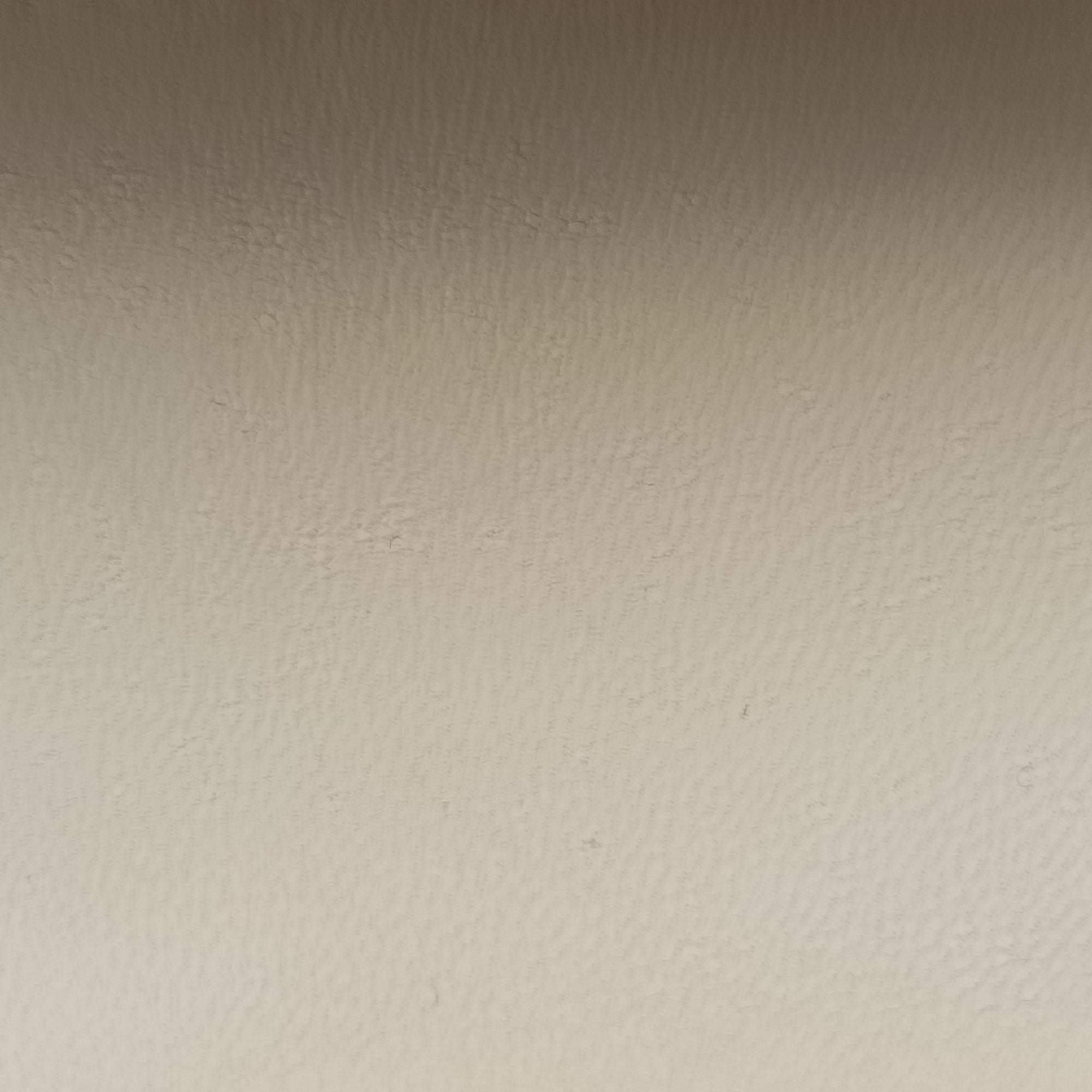 Virtus Beige Leather IC Chipヴィルトゥス ベージュ レザー ICチップ