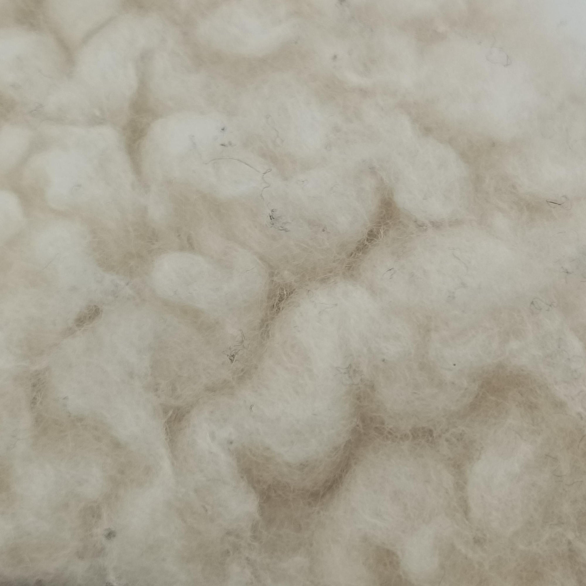 Re-Edition 2000 White Sheep Fur × Nylon Trims 1NE515 31/A3リエディション 2000 ホワイト シープファー × テスート 1NE515 31/A3