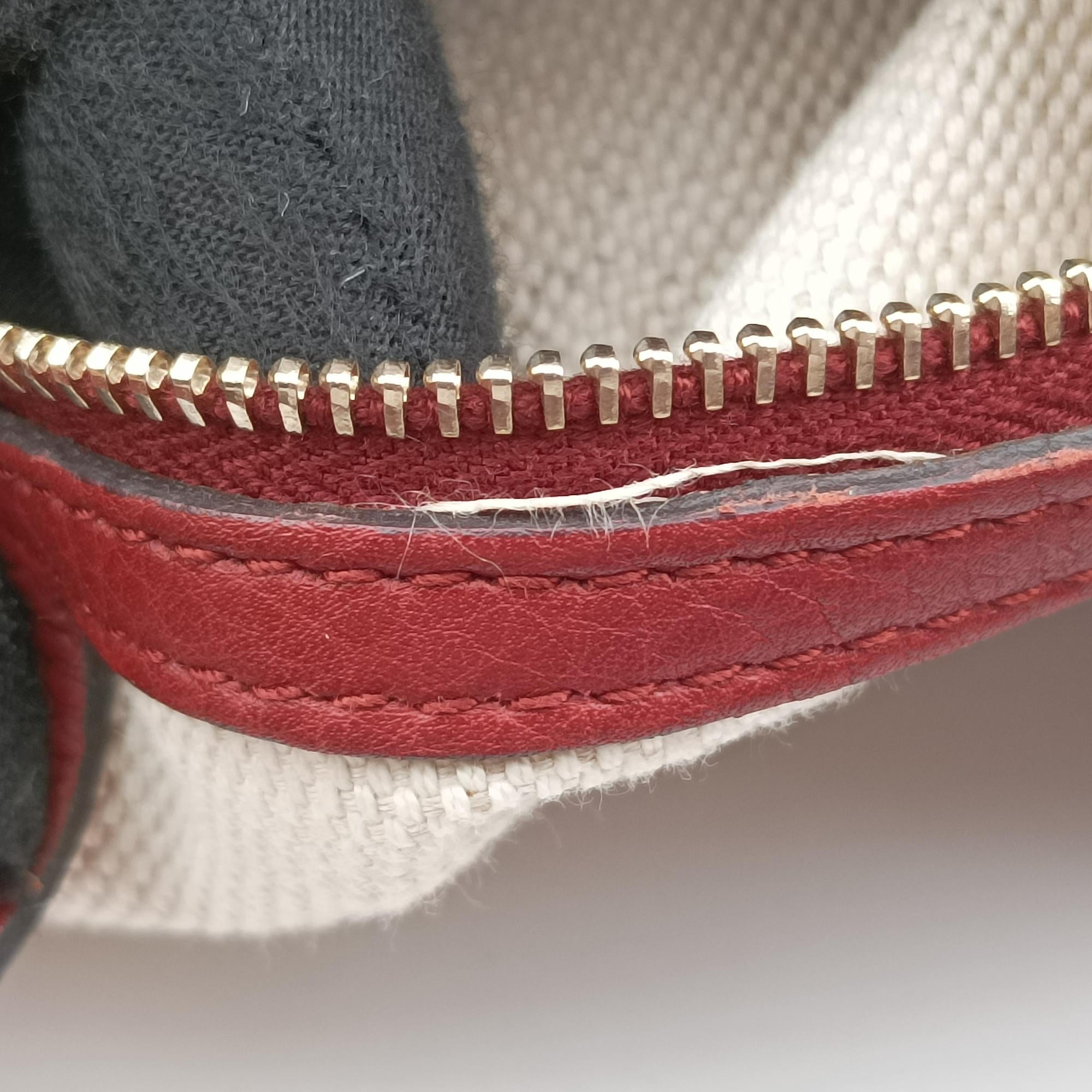 Dressage Web Hobo Red Leather 296851 A012025879ドレスセージ ウェブ ホーボー レッド レザー 296851 A012025879
