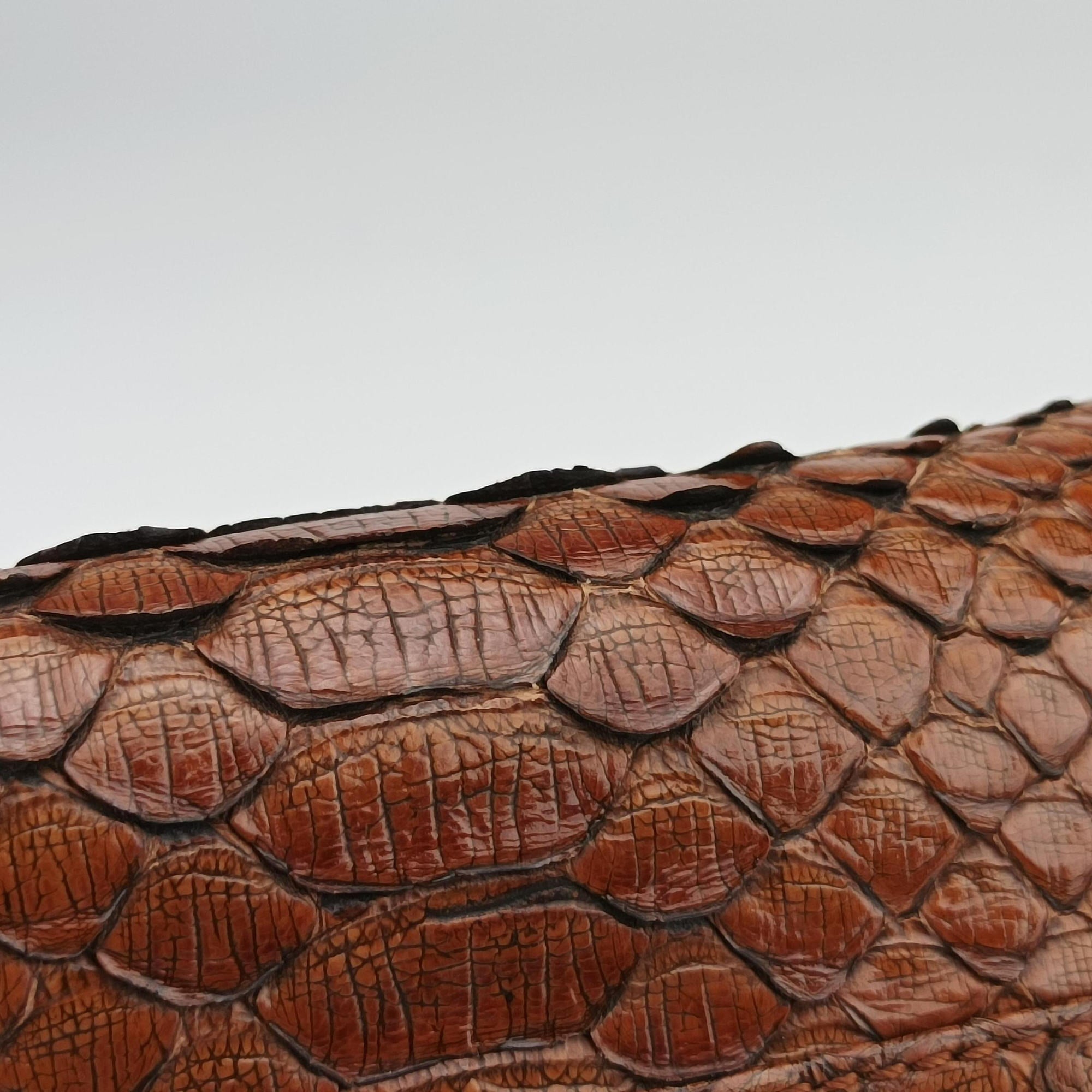 Amazona Brown Python × Nappa Leather 010804アマソナ ブラウン パイソン × レザー 010804