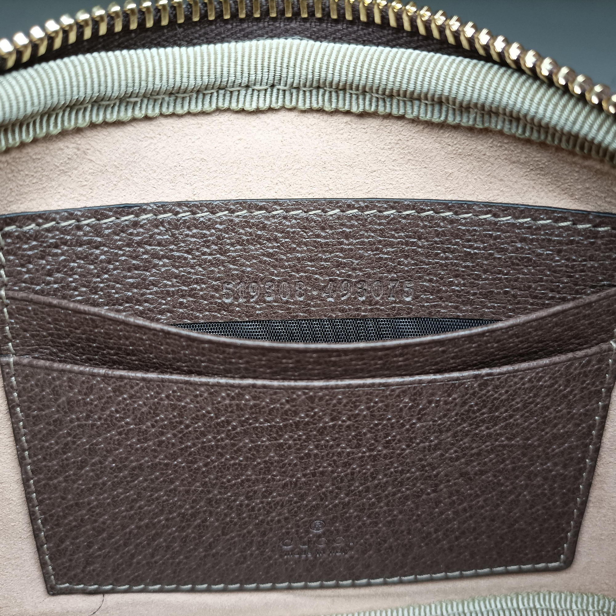 Ophidia Brown×green×red PVC coated canvas 519308 オフィディア ブラウン×グリーン×レッド PVCコーティングキャンバス 519308