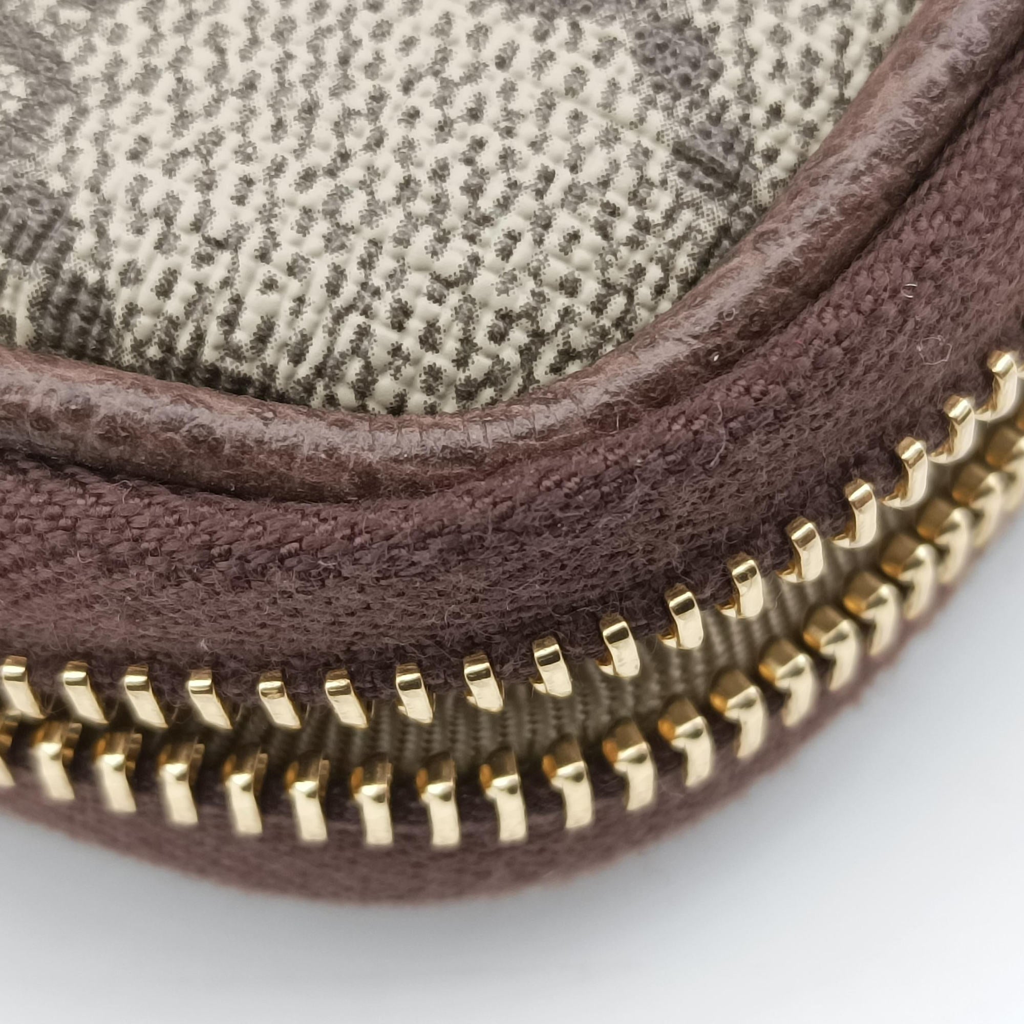 Ophidia Brown×green×red PVC coated canvas 519308 オフィディア ブラウン×グリーン×レッド PVCコーティングキャンバス 519308