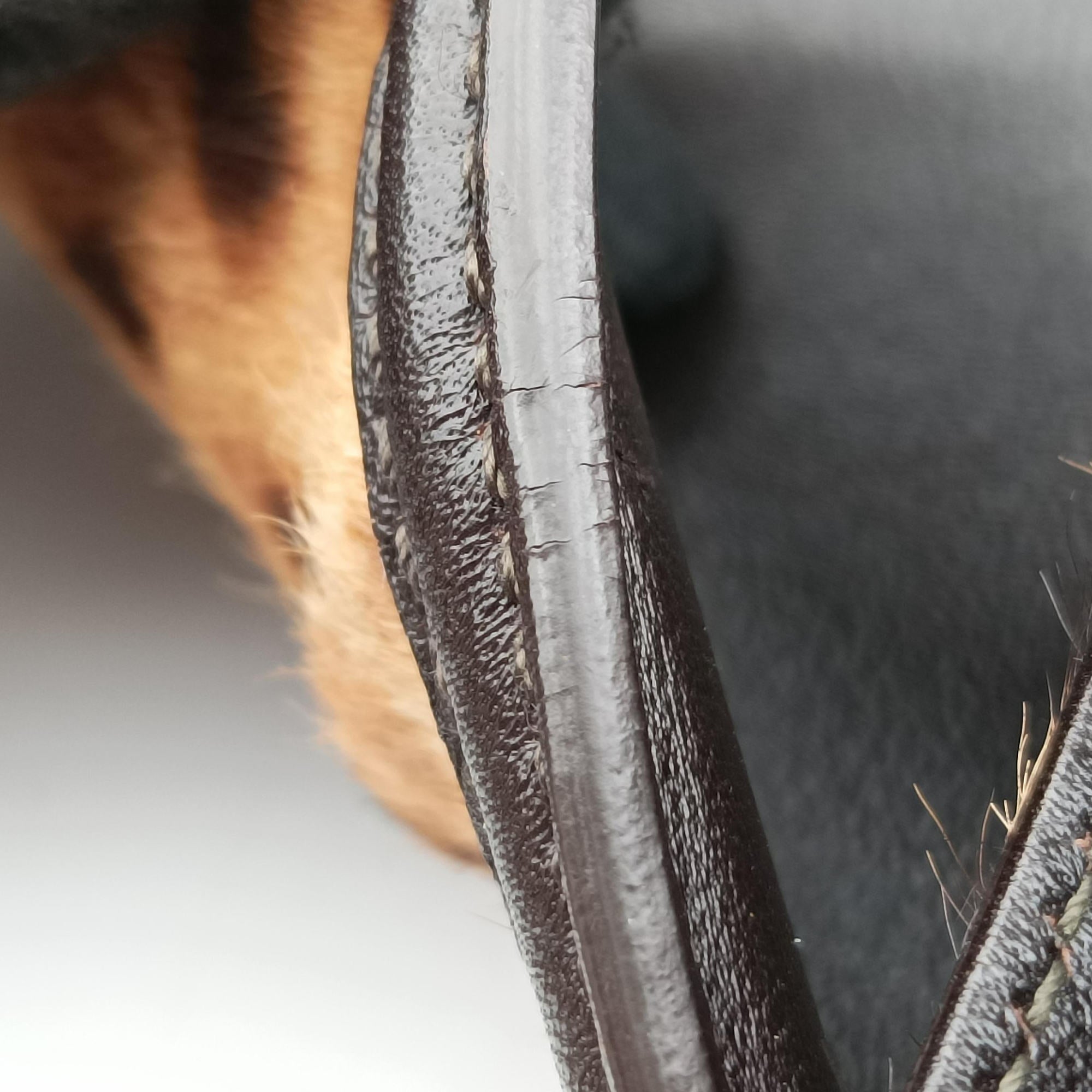 Vara Bow Brown x Black ponyhair EE-21 C119ヴァラ リボン ブラウン×ブラック ハラコ EE-21 C119