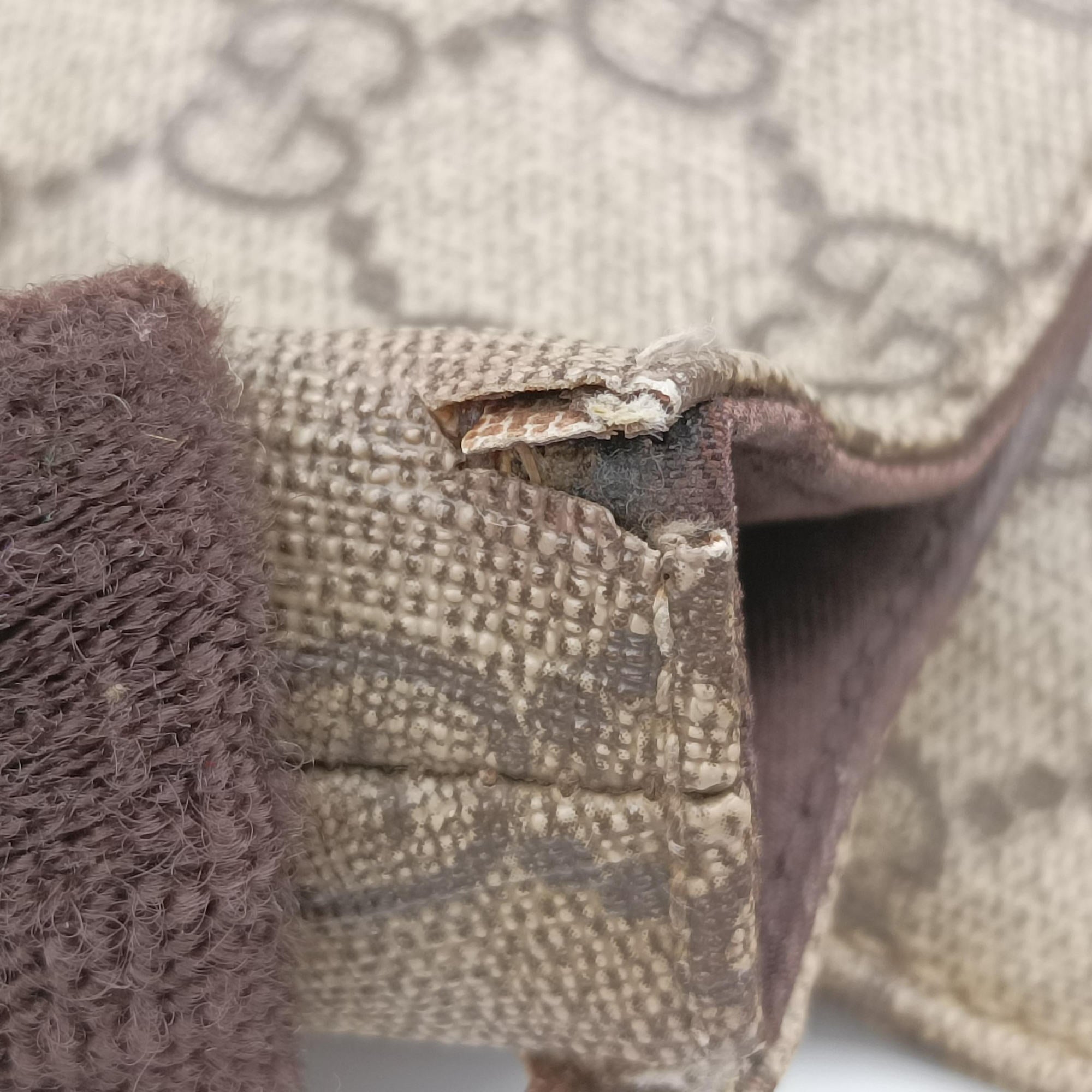 GG Supreme Double Buckle Beige × Dark Brown PVC coated canvas 122373 214397 GGスプリーム ダブルバックル ベージュ × ダークブラウン PVCコーティングキャンバス 122373 214397