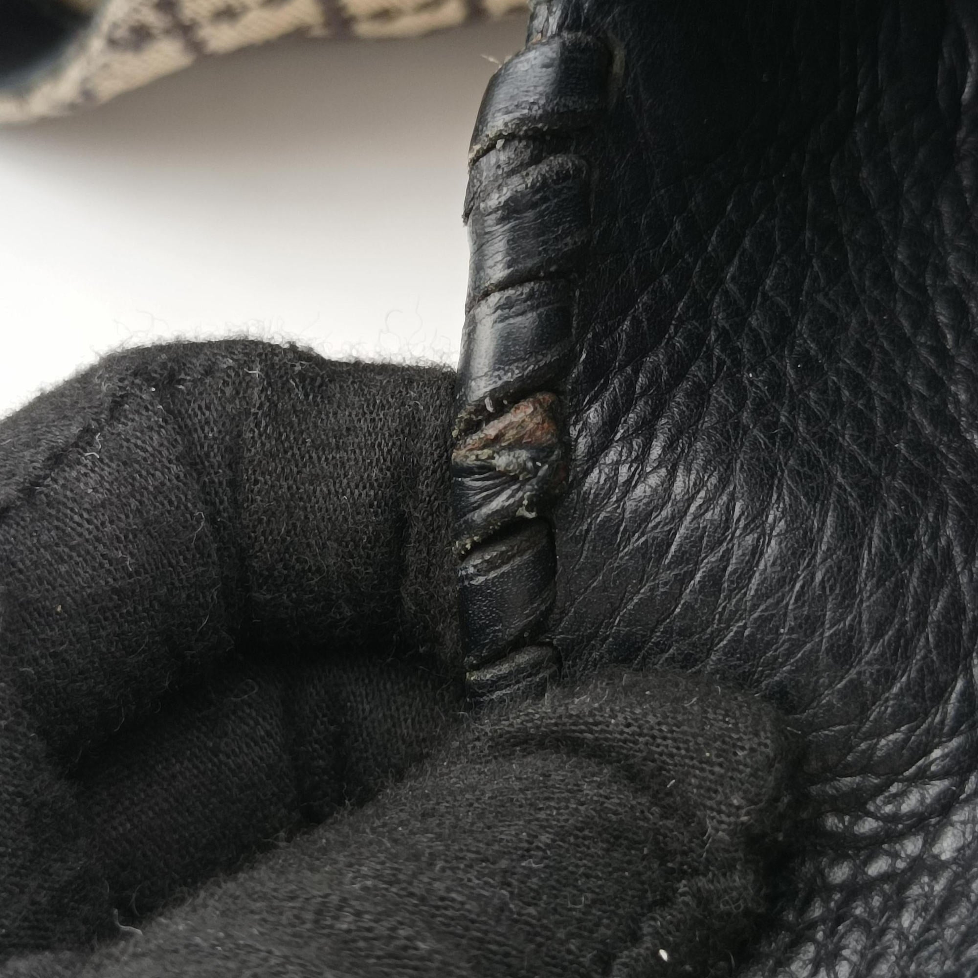 New Jackie Brown×Black canvas 246907 Lot number unknownニュージャッキー ブラウン×ブラック キャンバス 246907 製番不明