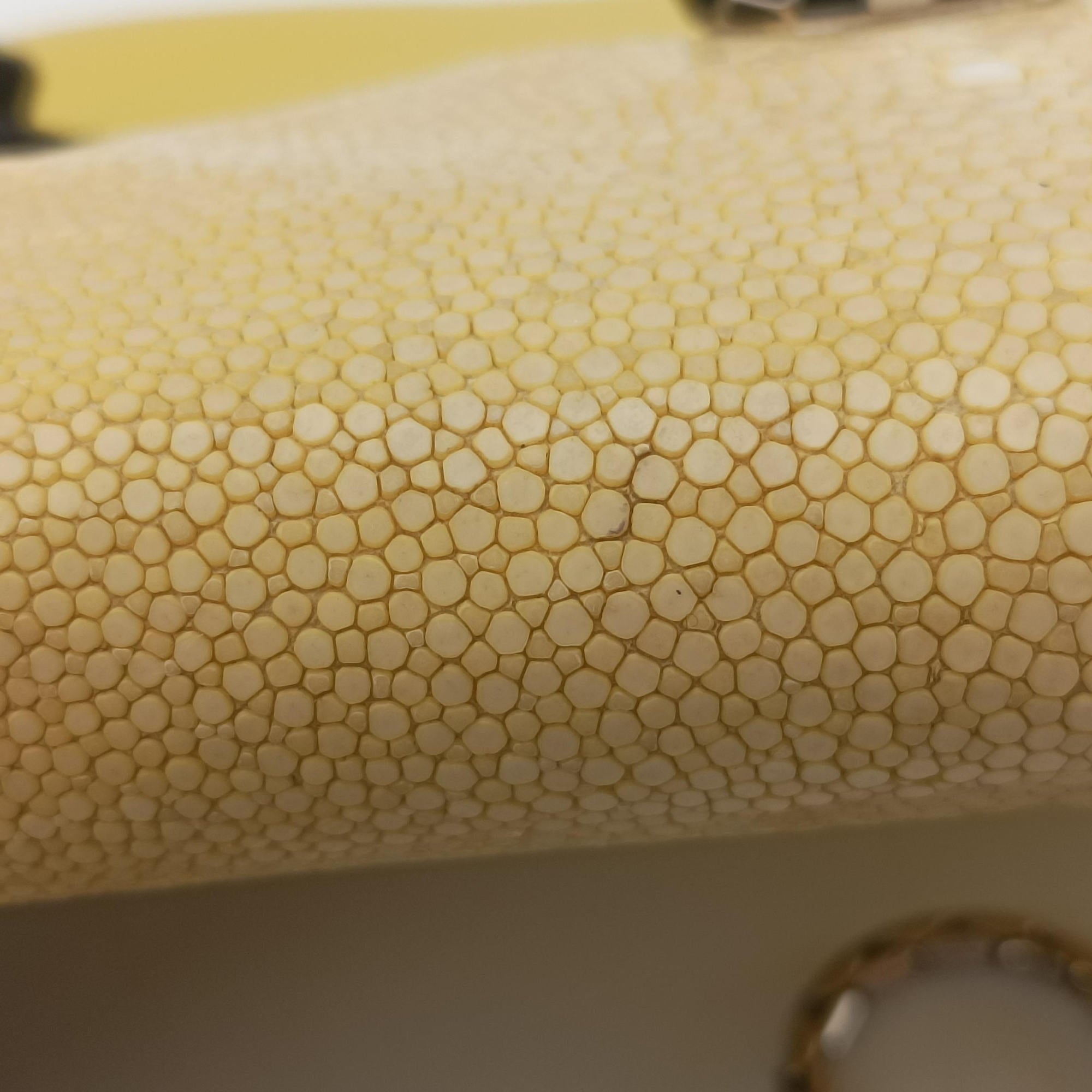 Serpenti Yellow Galuchat Skin×Leather AX.N14.38312セルペンティ イエロー ガルーシャスキン×ザー AX.N14.38312