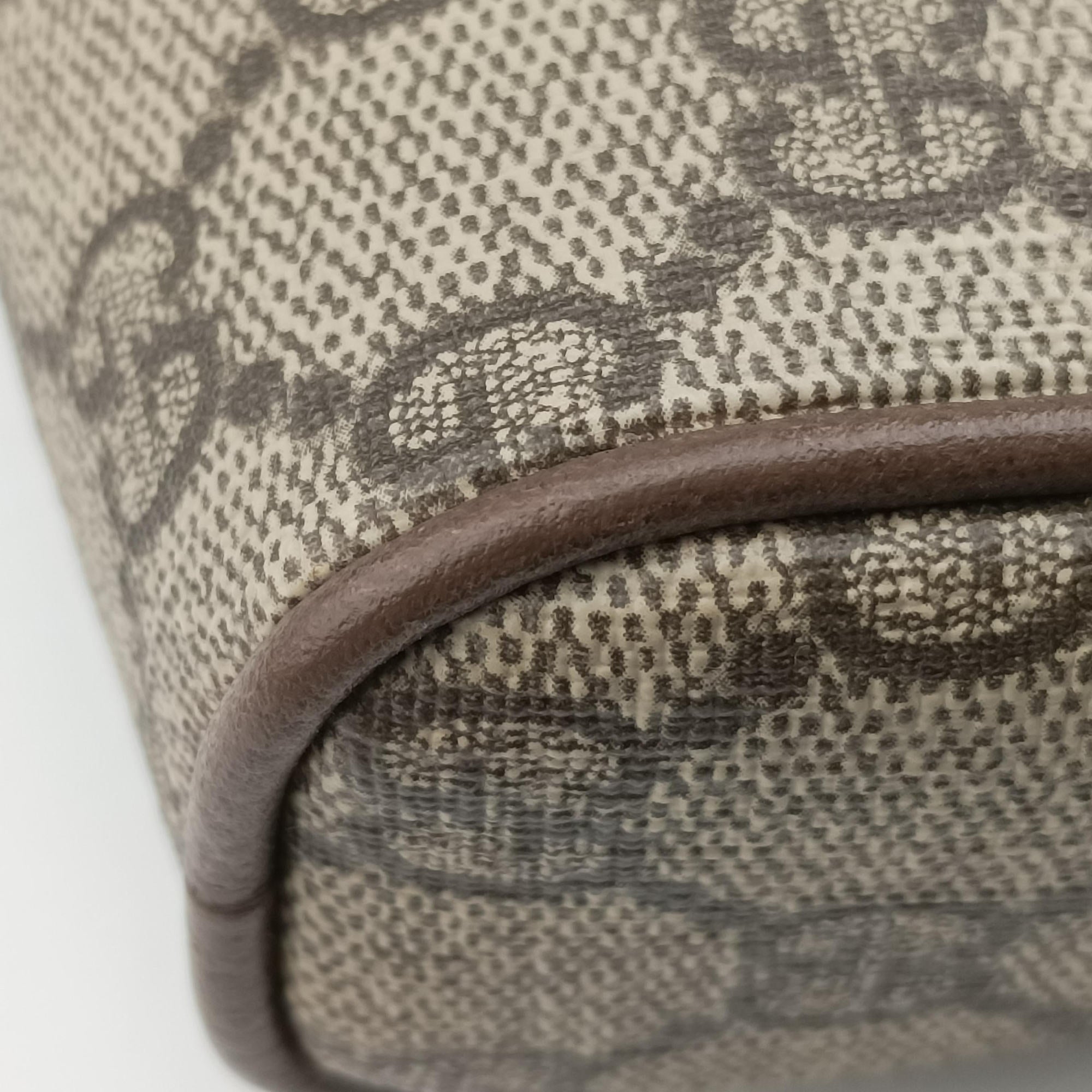 Ophidia Brown PVC coated canvas 517076 B024432970オフィディア ブラウン PVCコーティングキャンバス 517076 B024432970