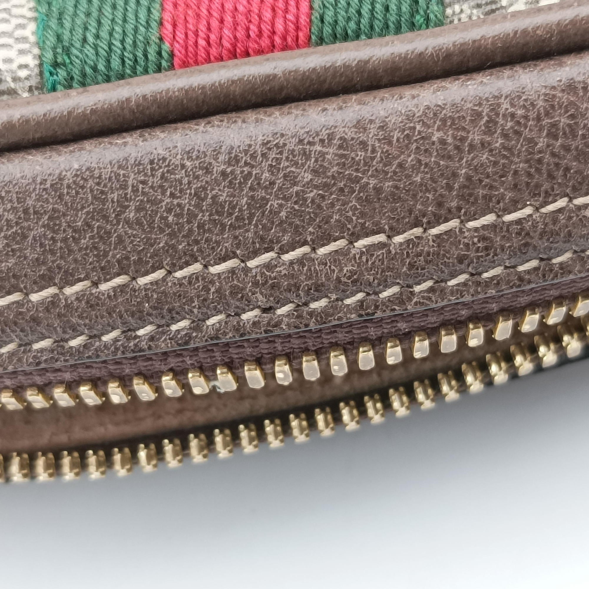 Ophidia Brown PVC coated canvas 517076 B024432970オフィディア ブラウン PVCコーティングキャンバス 517076 B024432970