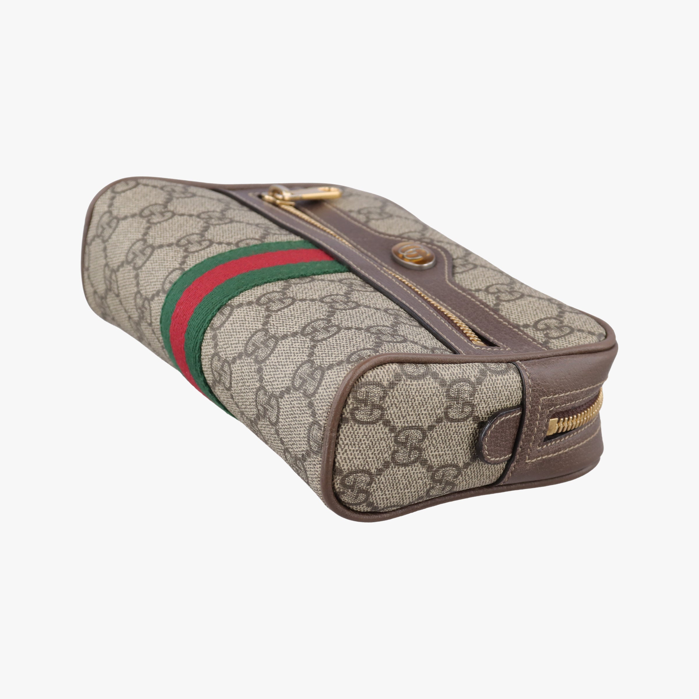 Ophidia Brown PVC coated canvas 517076 B024432970オフィディア ブラウン PVCコーティングキャンバス 517076 B024432970