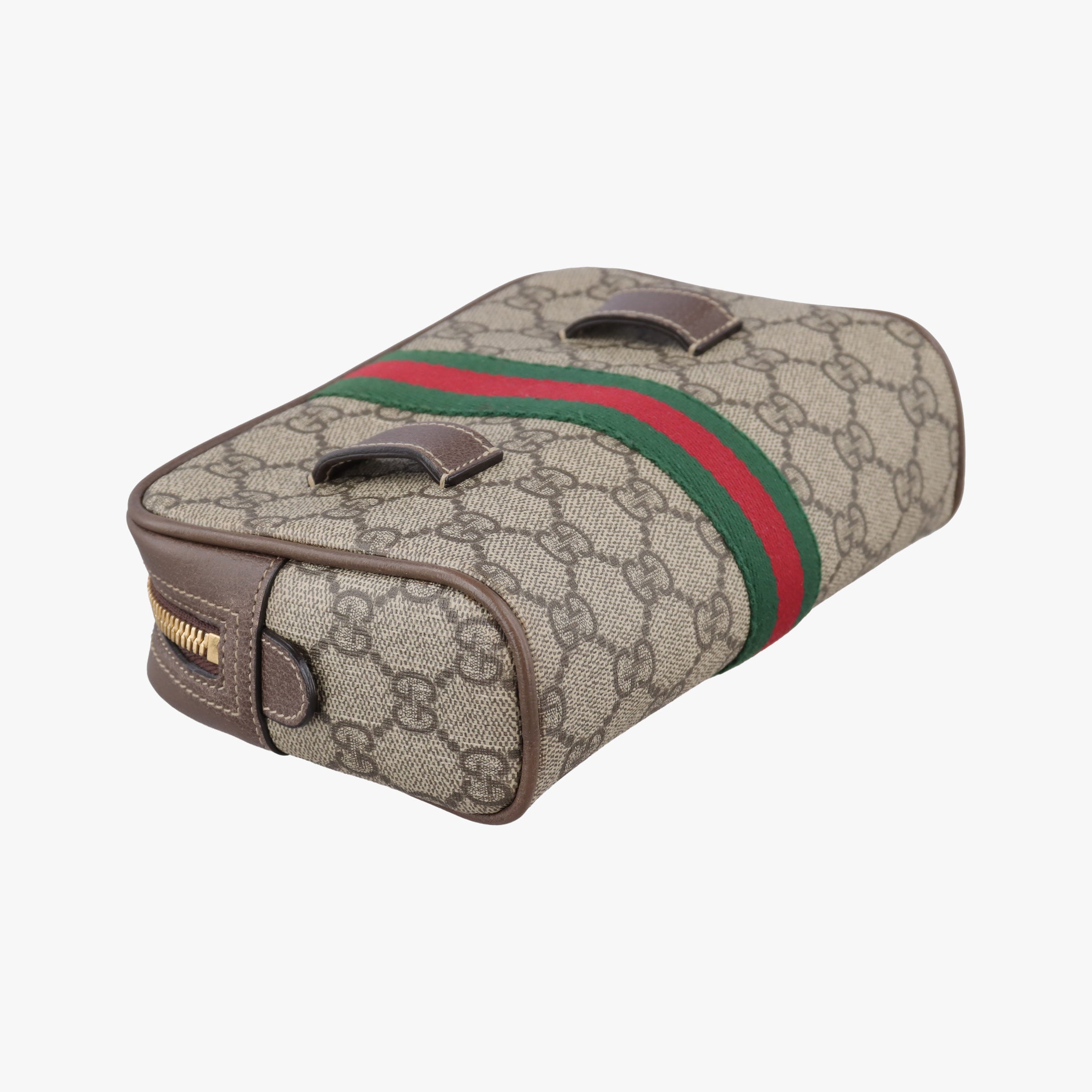 Ophidia Brown PVC coated canvas 517076 B024432970オフィディア ブラウン PVCコーティングキャンバス 517076 B024432970
