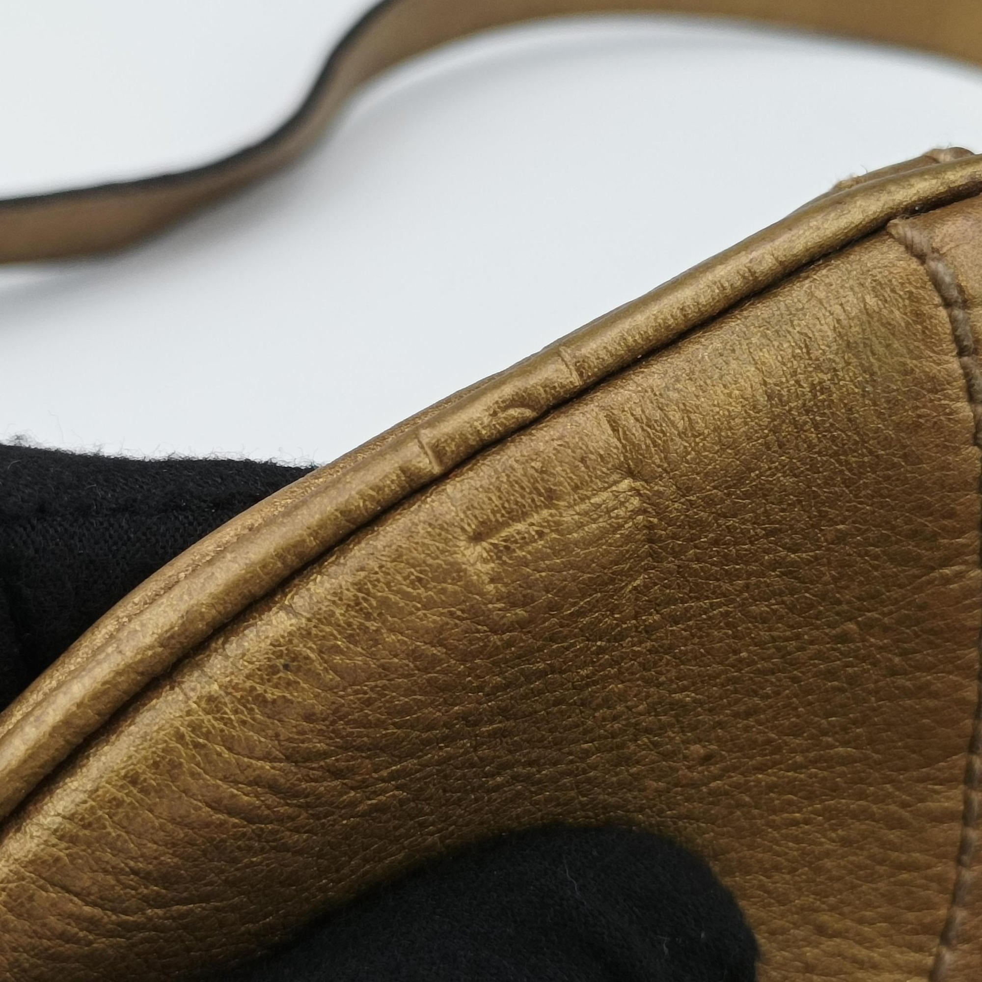 Princy Golden×Brown canvas×leather 204939 C2582317プリンシー ゴールド×ブラウン キャンバス×レザー 204939 C2582317
