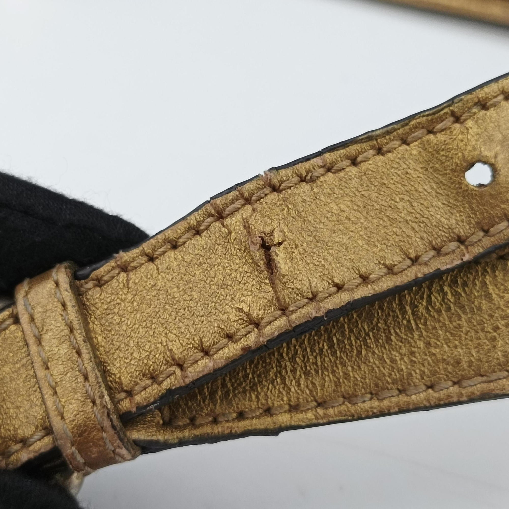 Princy Golden×Brown canvas×leather 204939 C2582317プリンシー ゴールド×ブラウン キャンバス×レザー 204939 C2582317