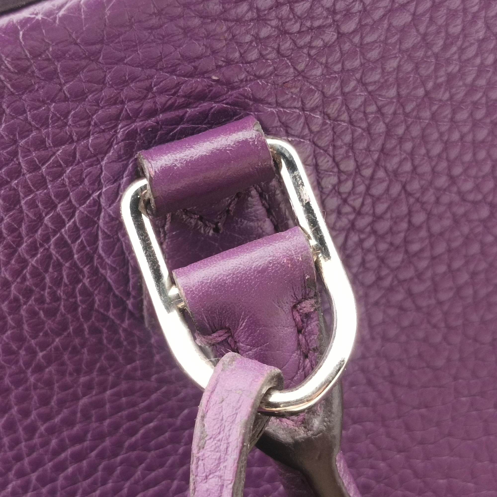 Parnassea Alma PM Violet Taurillon Leather M48881 AR2153パルナセア アルマ PM ヴァイオレット トリヨンレザー M48881 AR2153