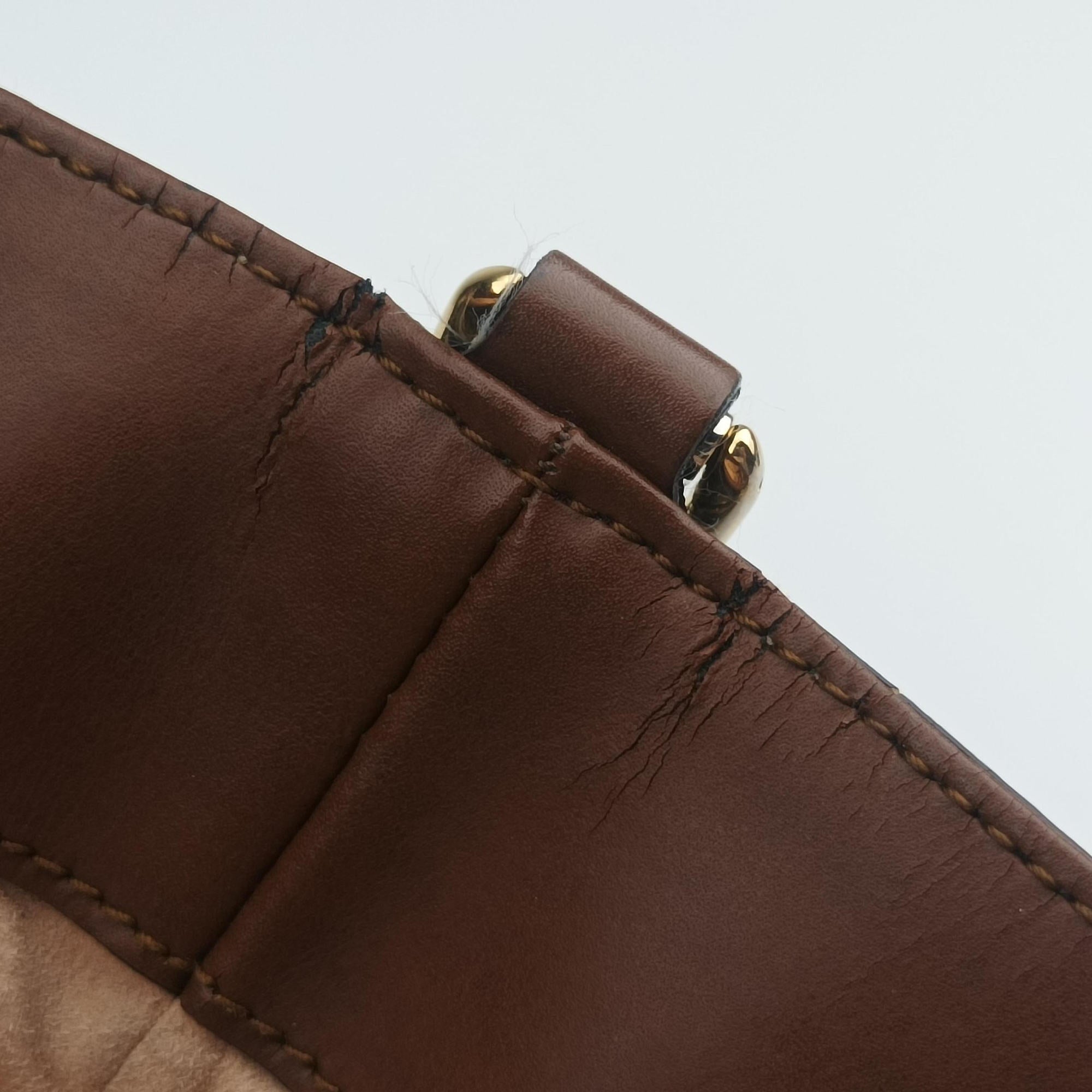 GG Supreme Brown × Beige PVC coated canvas×Leather 453705 A020897152GGスプリーム ブラウン×ベージュ PVCコーティングキャンバス×レザー 453705 A020897152