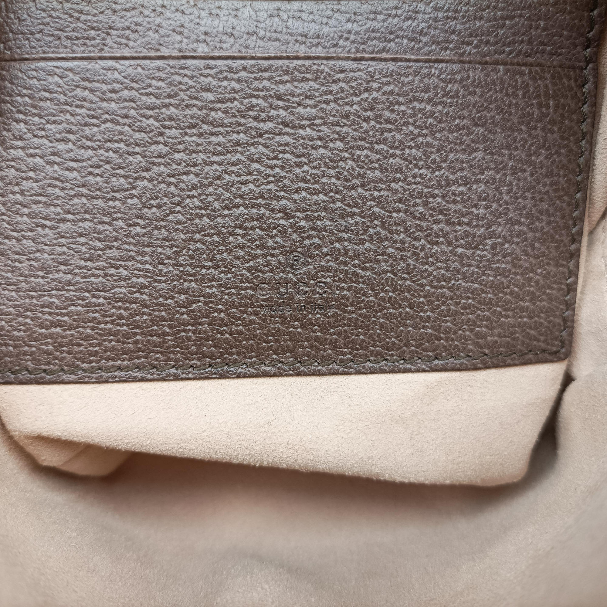 Ophidia Brown×beige×multi PVC coated canvas×Leather 598661 オフィディア ブラウン×ベージュ×マルチ PVCコーティングキャンバス×レザー 598661