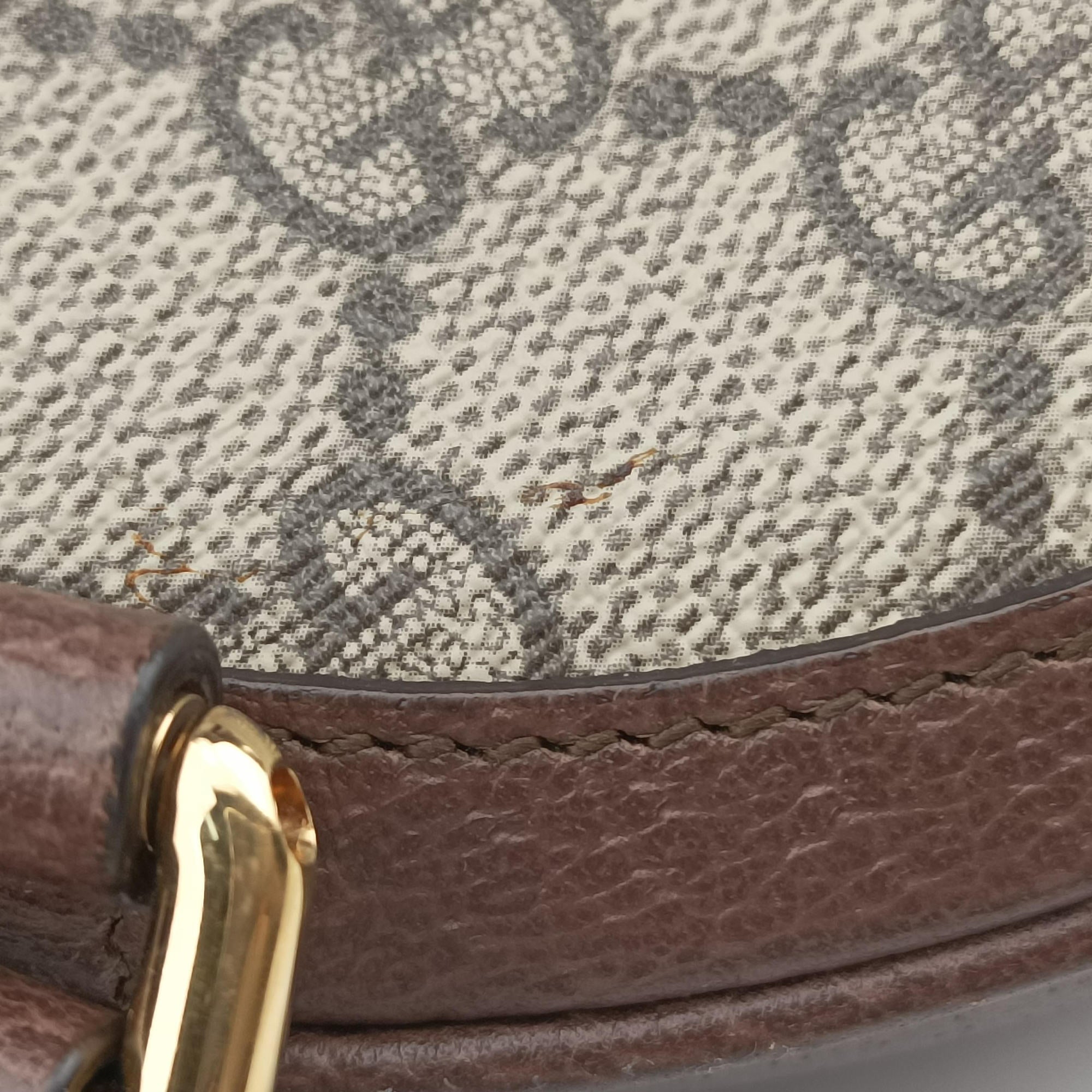 Ophidia Brown×beige×multi PVC coated canvas×Leather 598661 オフィディア ブラウン×ベージュ×マルチ PVCコーティングキャンバス×レザー 598661