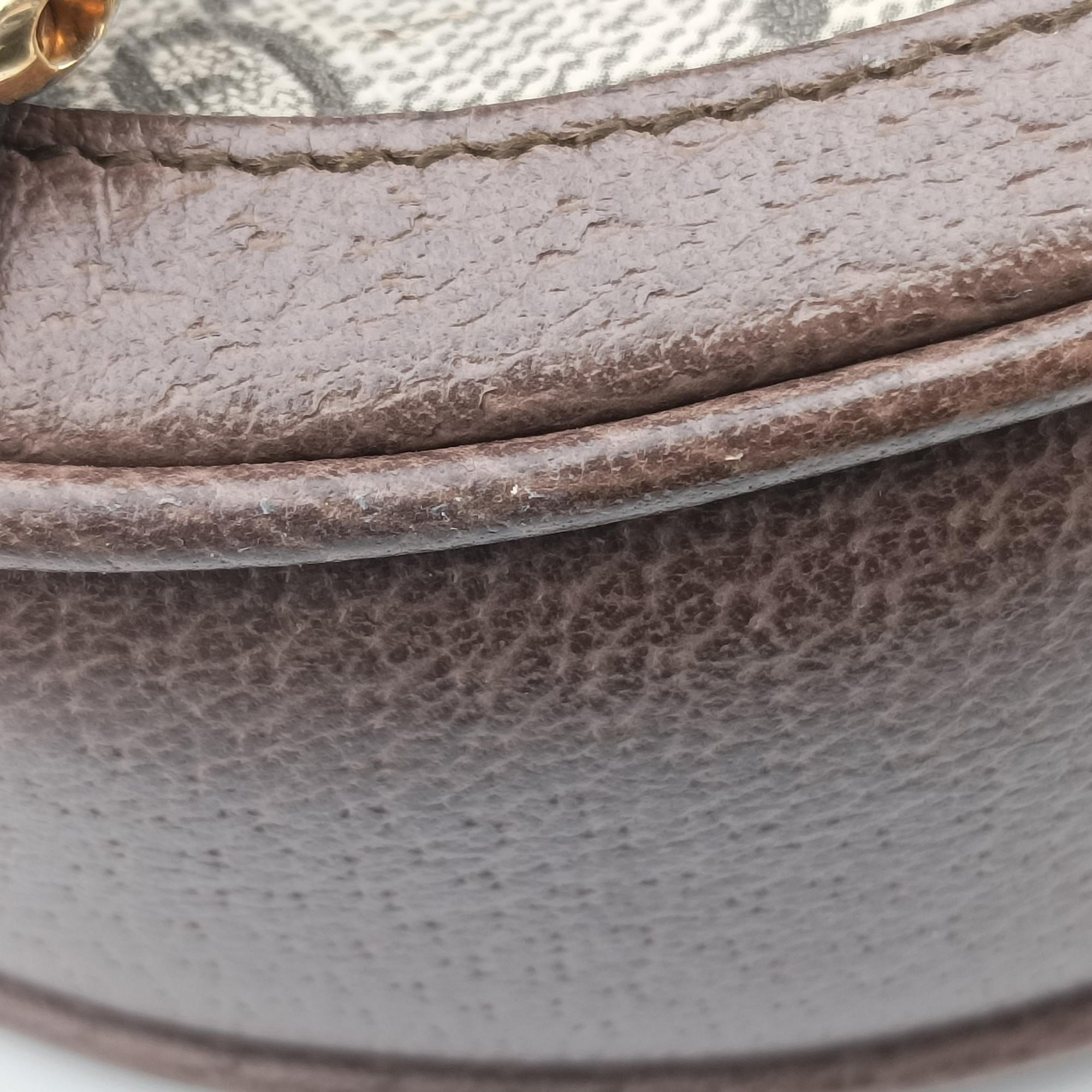 Ophidia Brown×beige×multi PVC coated canvas×Leather 598661 オフィディア ブラウン×ベージュ×マルチ PVCコーティングキャンバス×レザー 598661